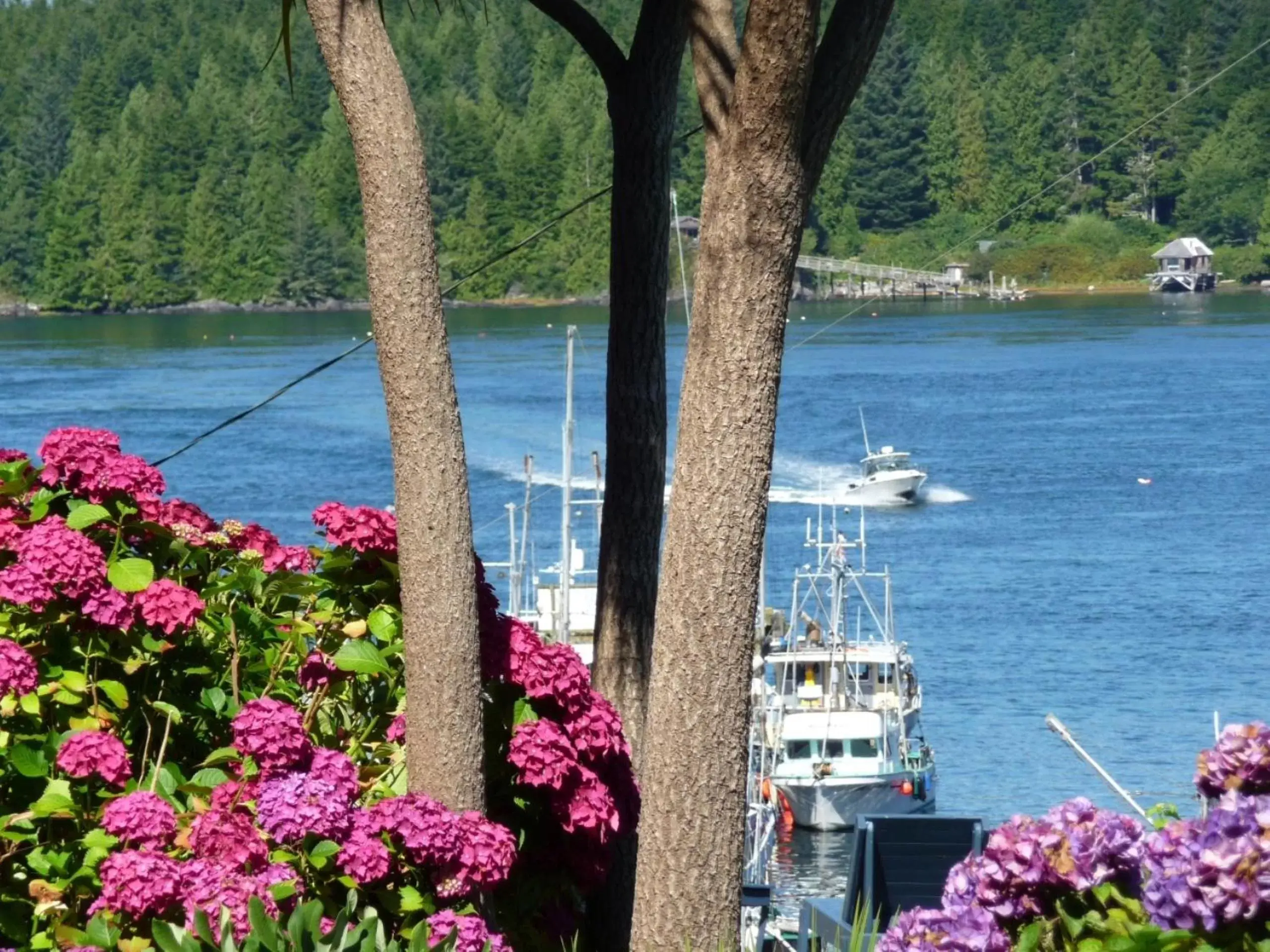 View (from property/room), River View in Tofino Motel Harborview