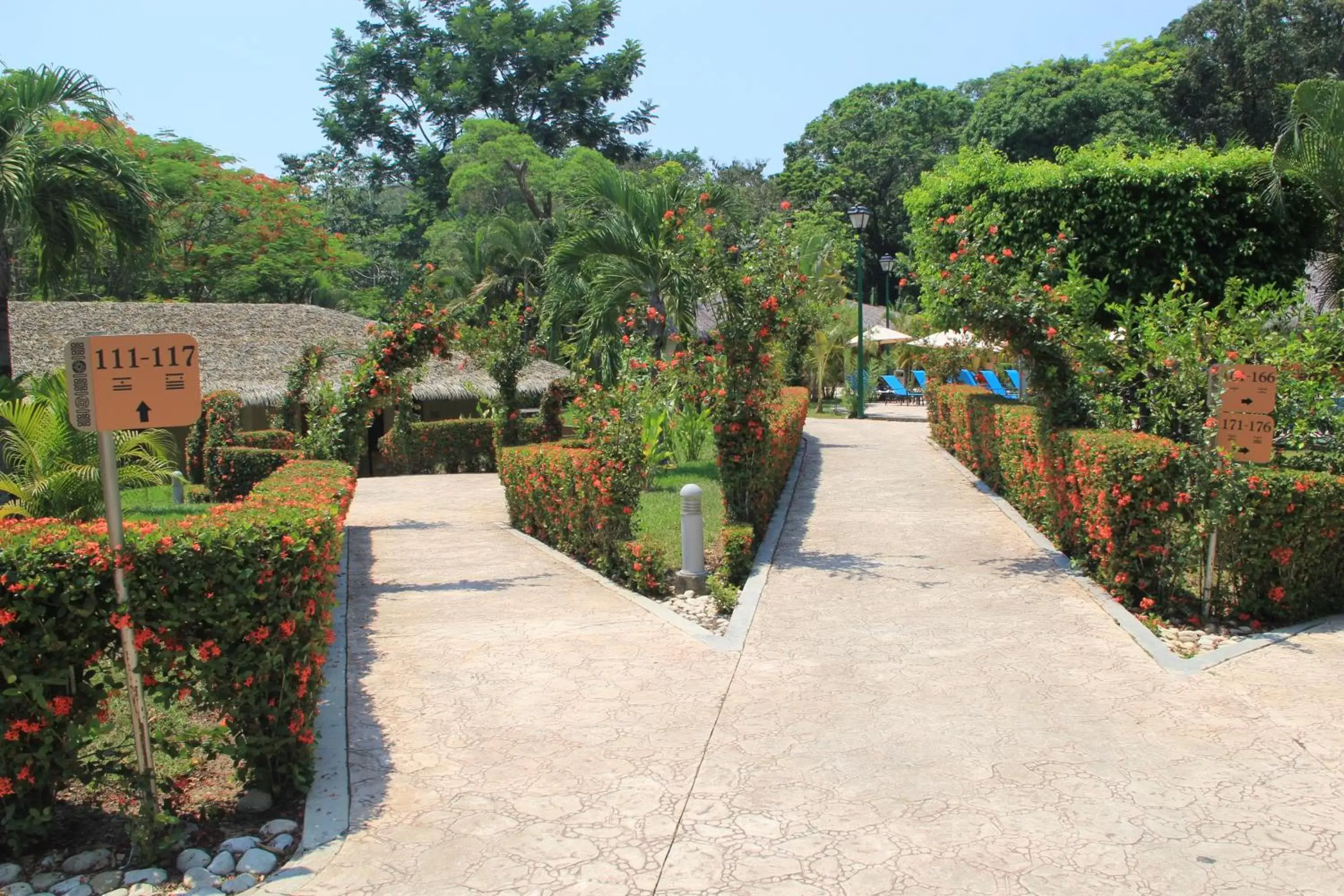 Natural landscape in Hotel Villa Mercedes Palenque