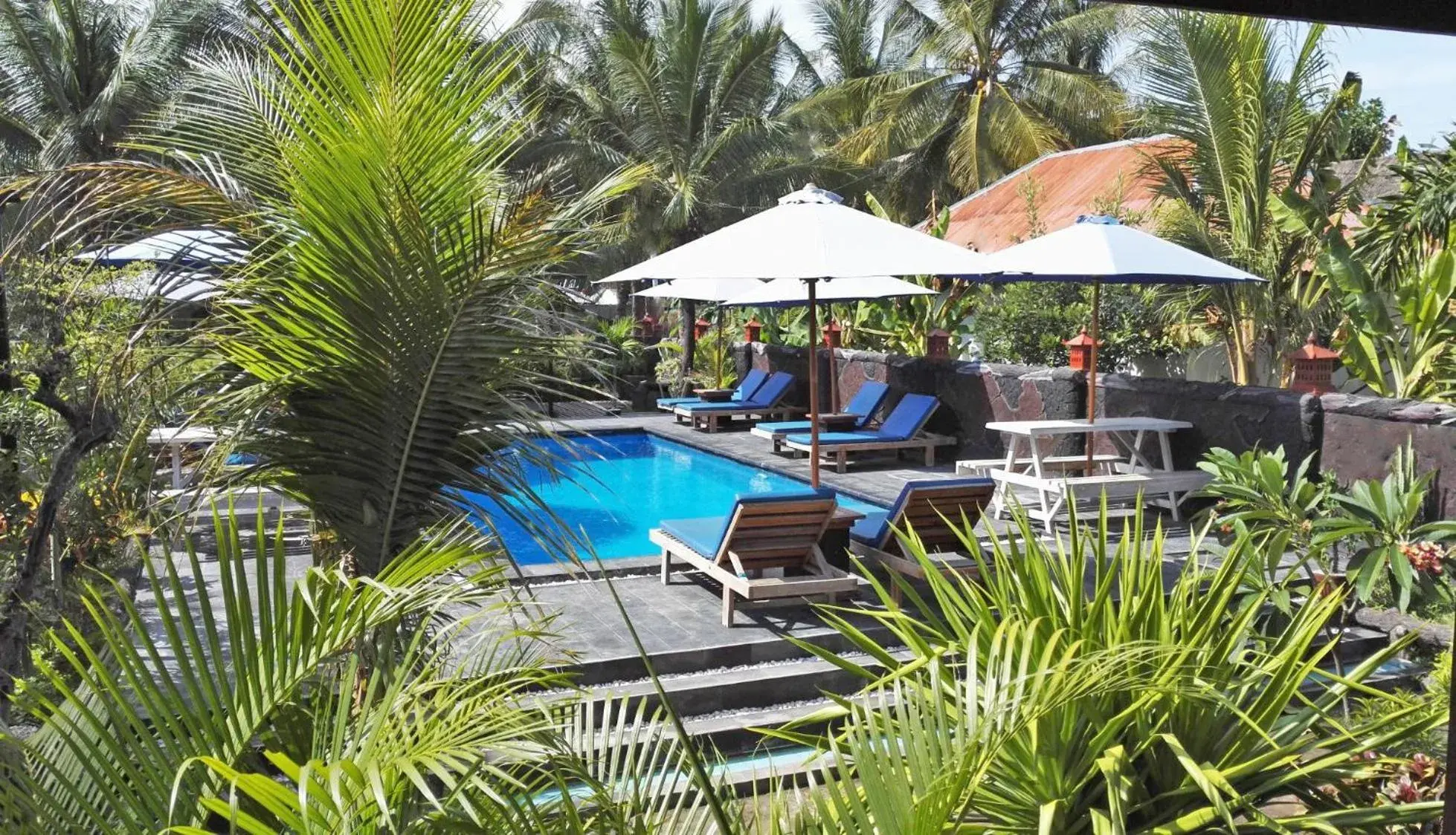 Garden, Swimming Pool in Colour Cottages