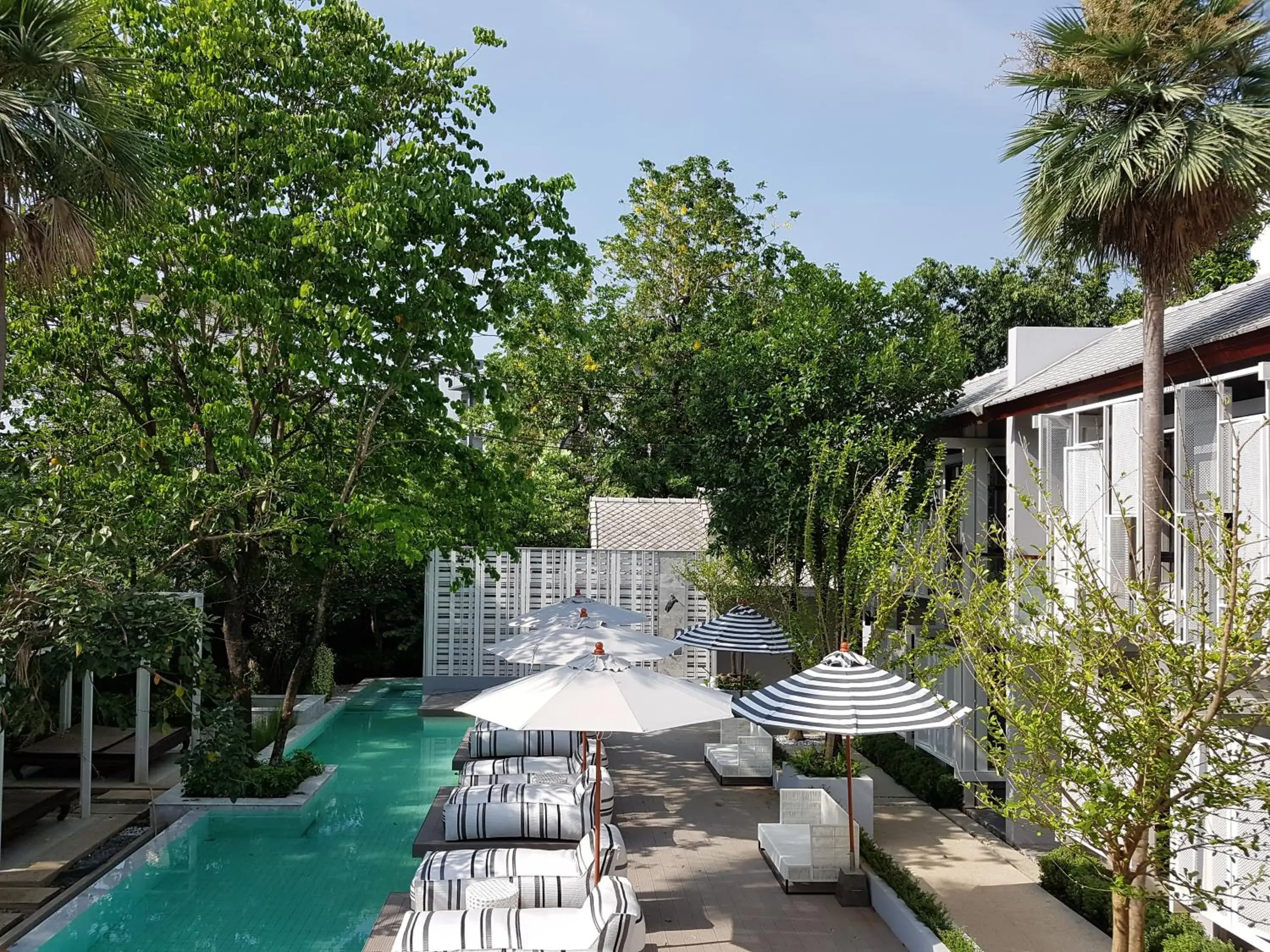 Swimming Pool in Treevana Club Chiangmai