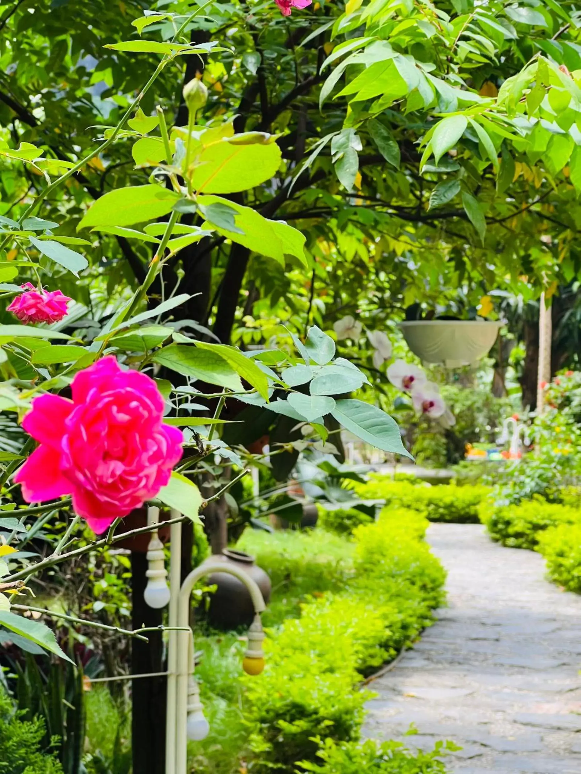 Garden in Tam Coc Luxury Homestay