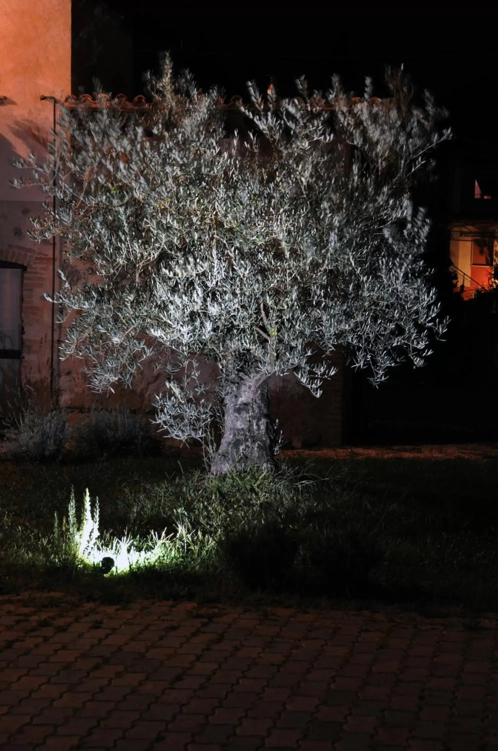 Garden view in Il Casale dei Nonni