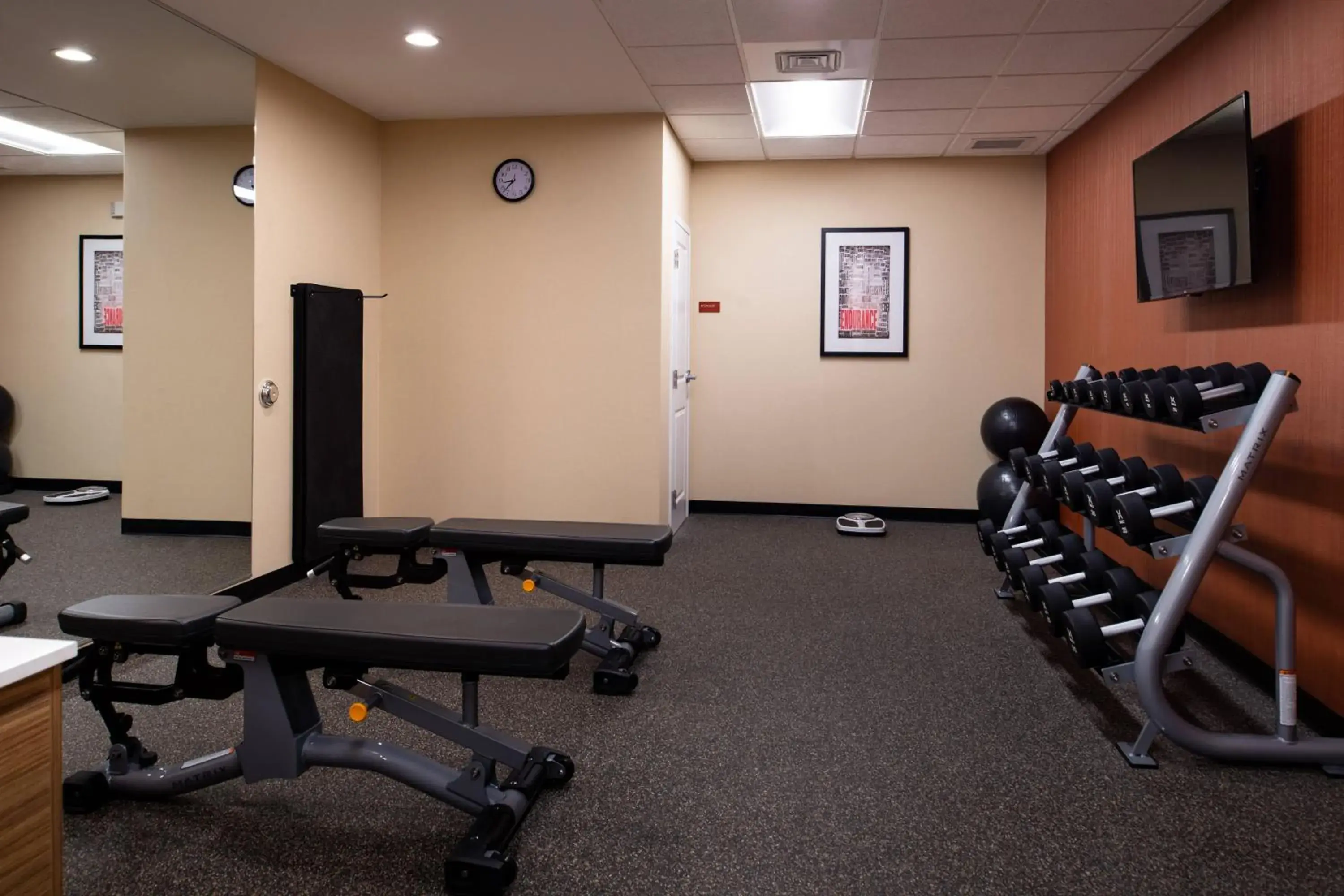 Fitness centre/facilities, Fitness Center/Facilities in TownePlace Suites by Marriott St. Louis Chesterfield
