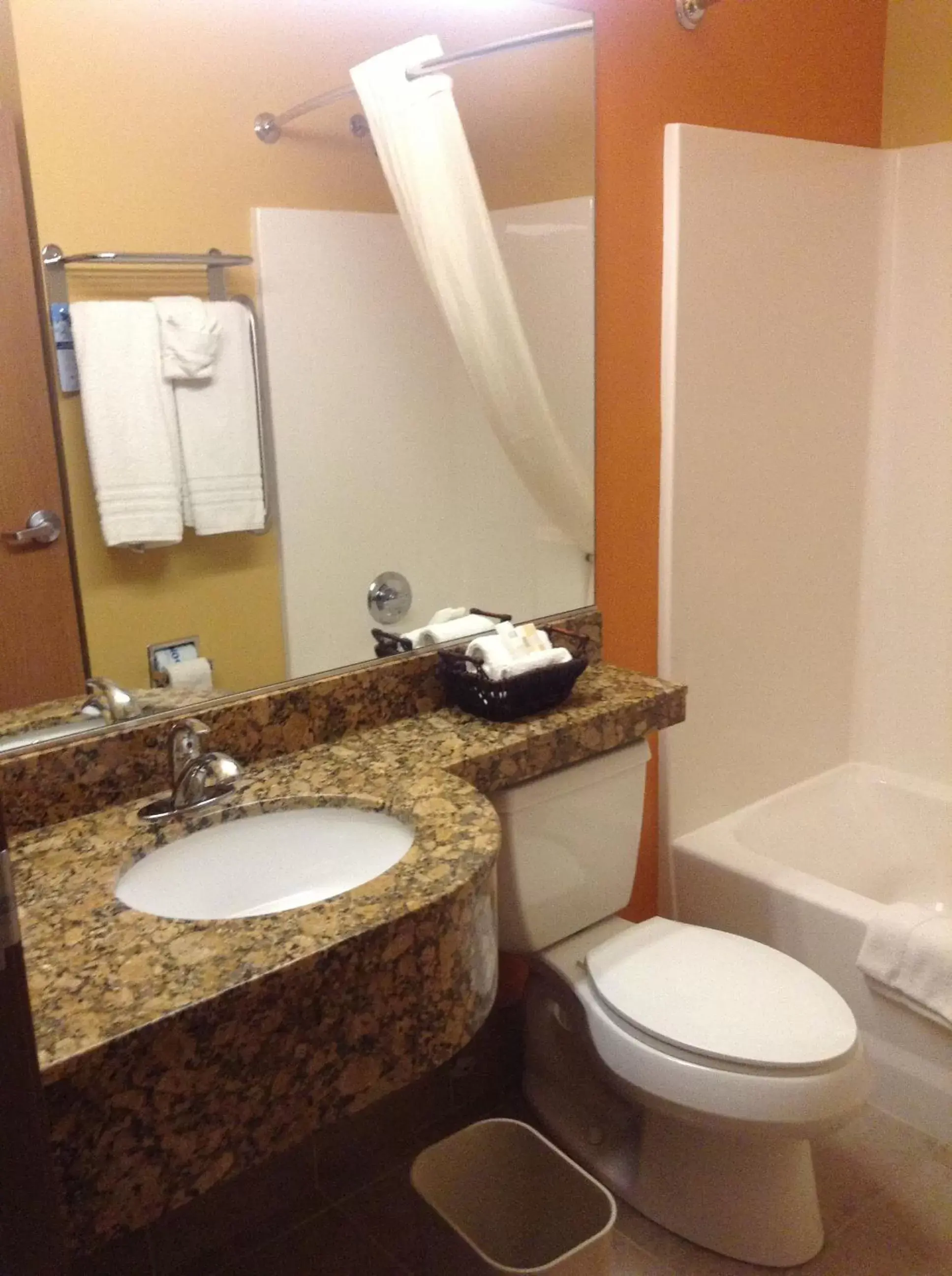 Bathroom in Microtel by Wyndham South Bend Notre Dame University