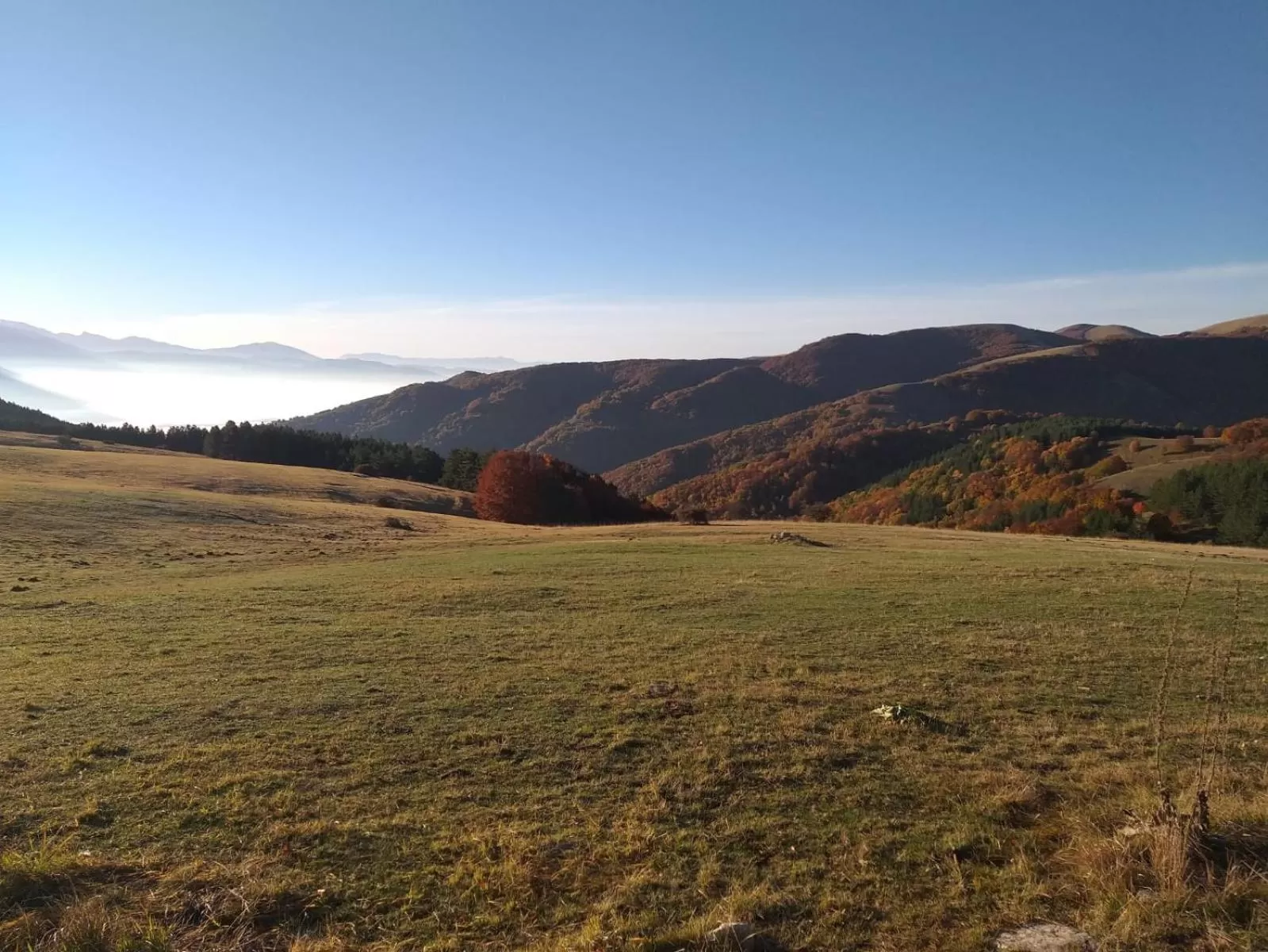 Natural landscape in B&B Fonte Vena
