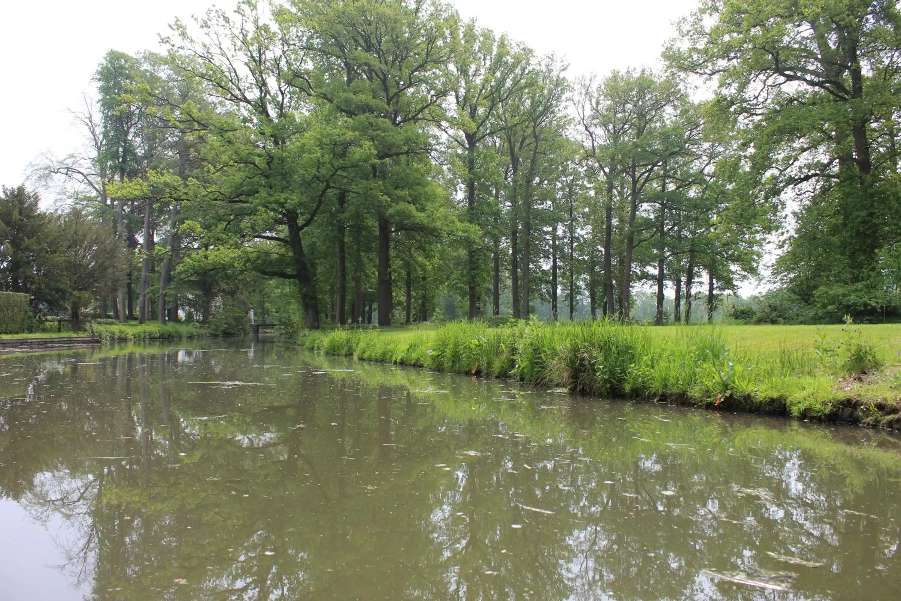 Canoeing in De Bloesem