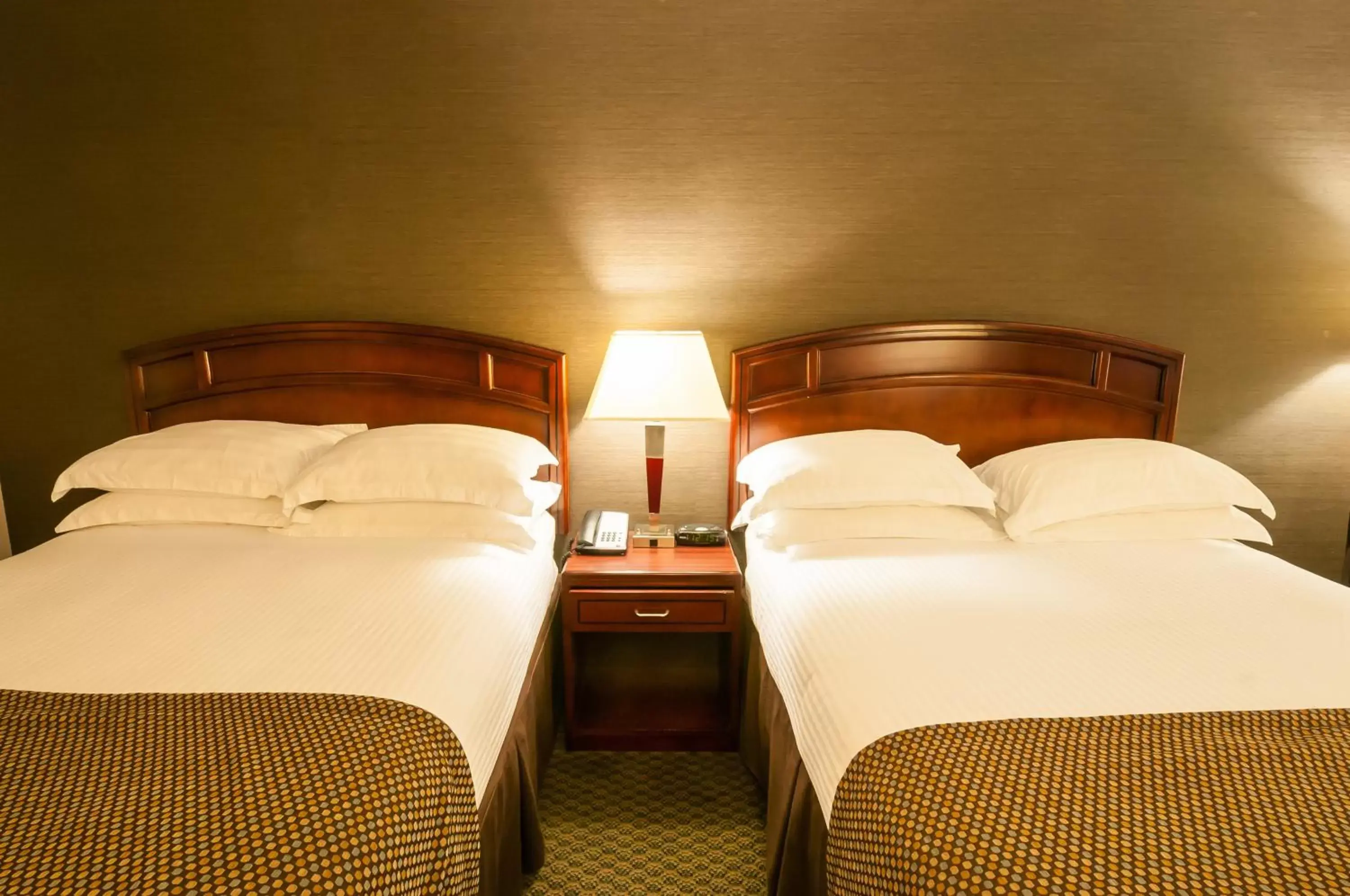 Bed in Best Western Airport Inn Bed in Best Western Airport Inn