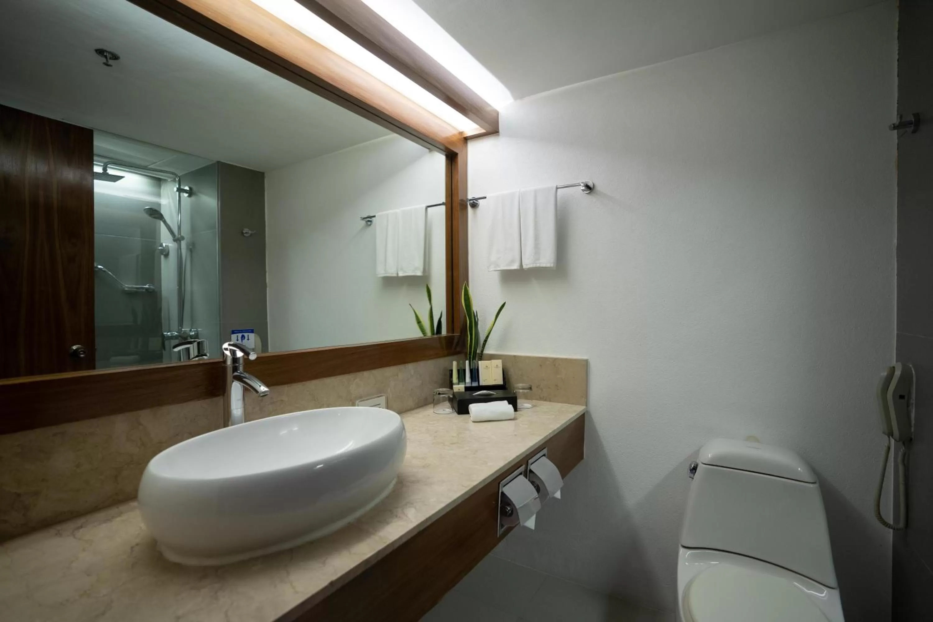 Bathroom in Marco Polo Plaza Cebu