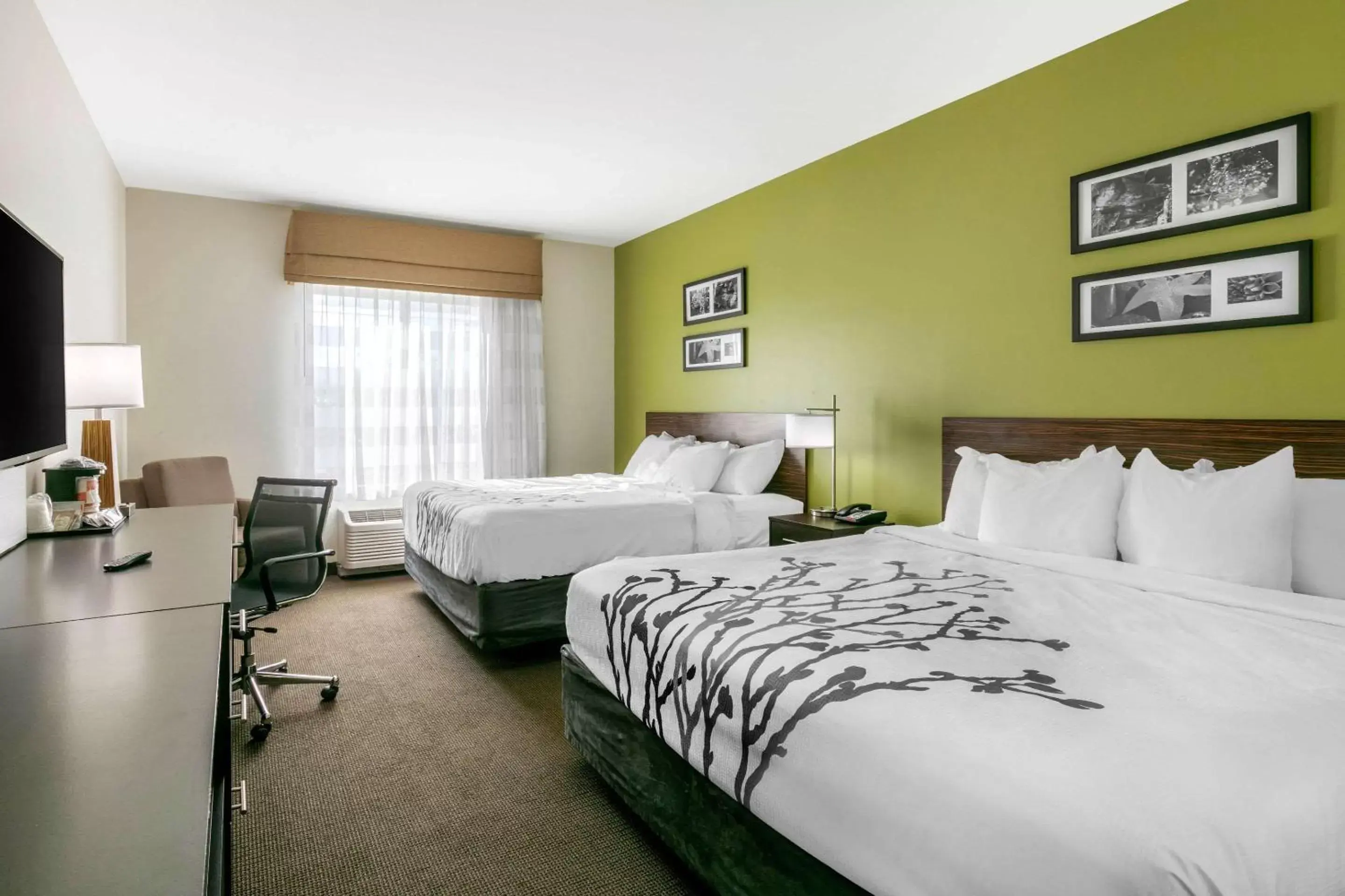 Photo of the whole room, Bed in Sleep Inn & Suites Columbia