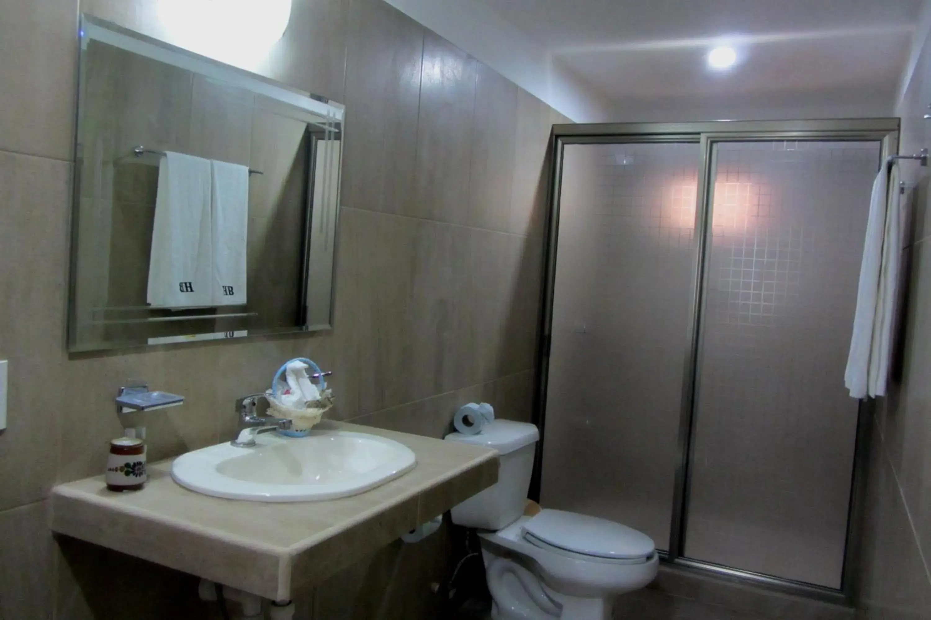 Bathroom in Hotel Barracuda