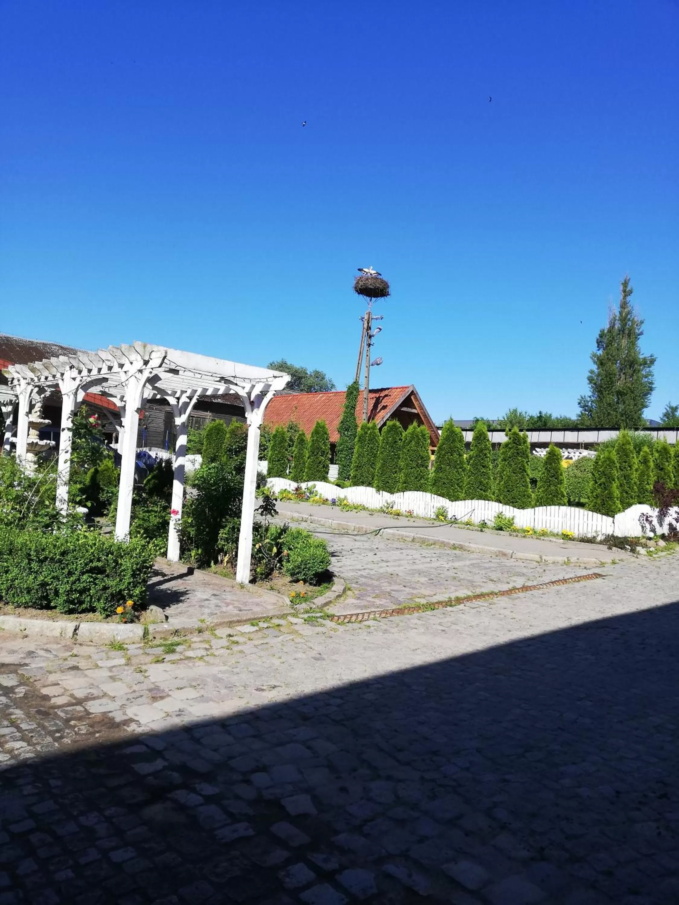 View (from property/room) in Zajazd Eljan-Centrum Noclegowe