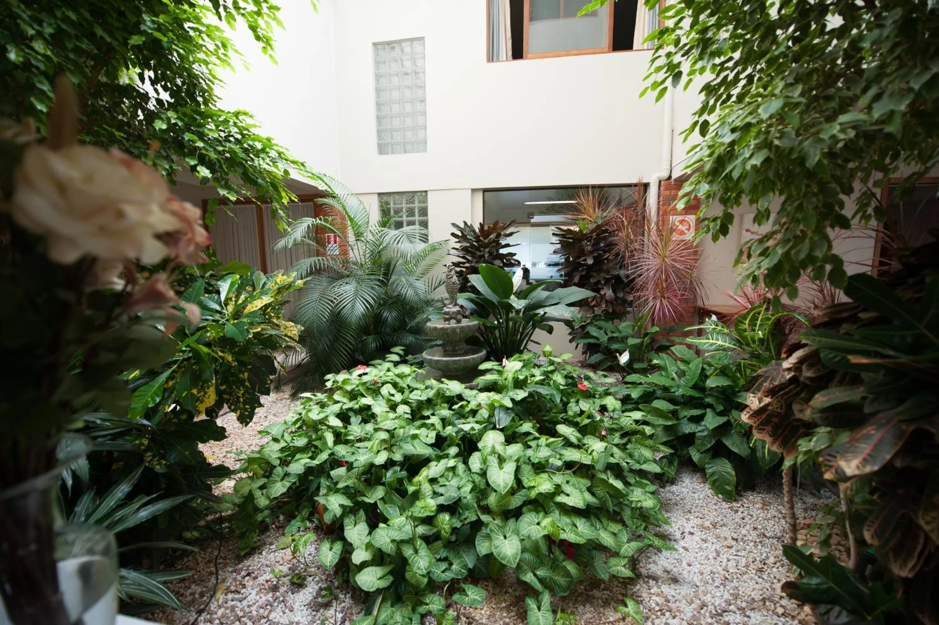 Garden in Farina Park Hotel
