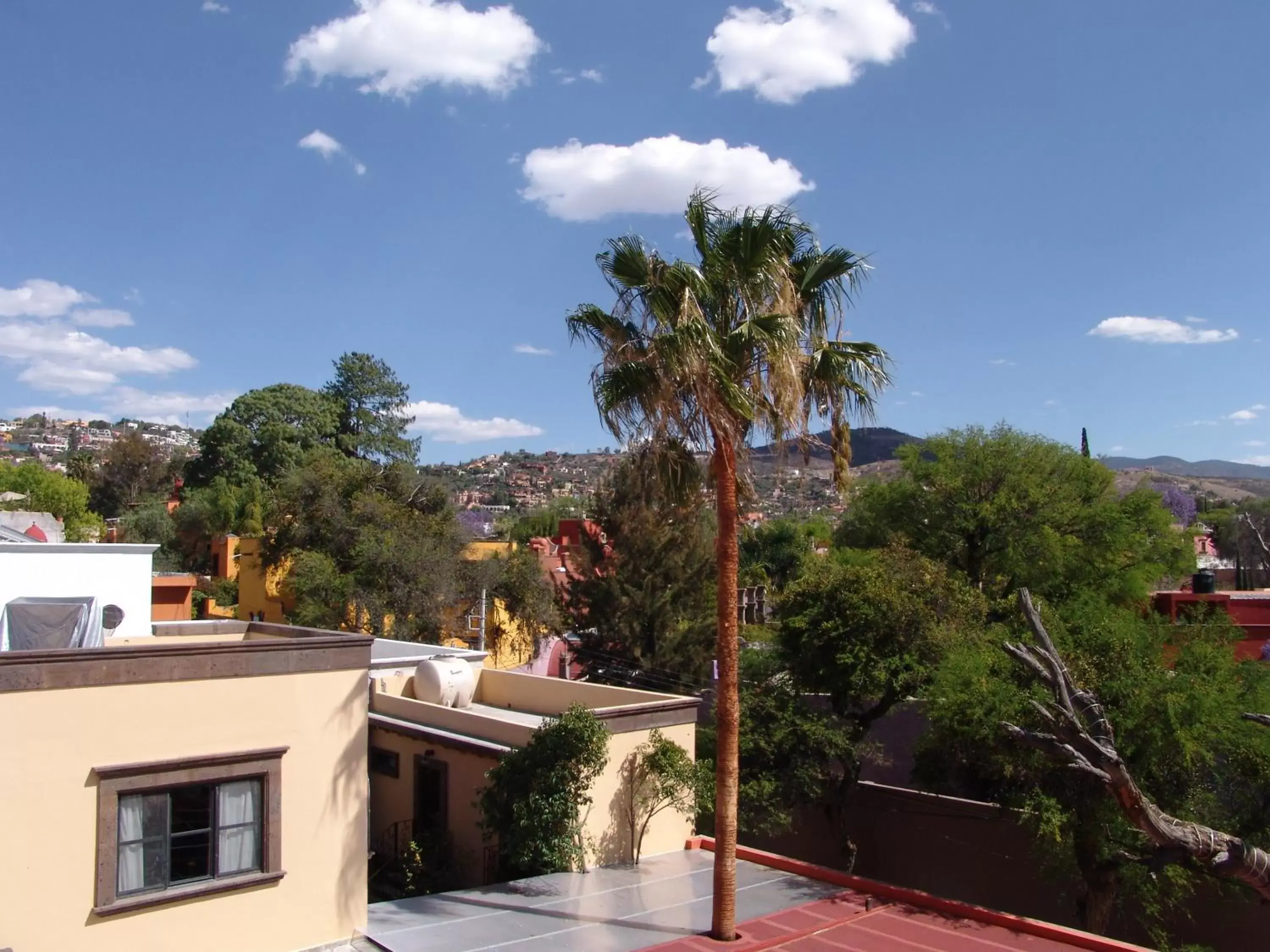 Area and facilities in Hotel Casa Don Quijote