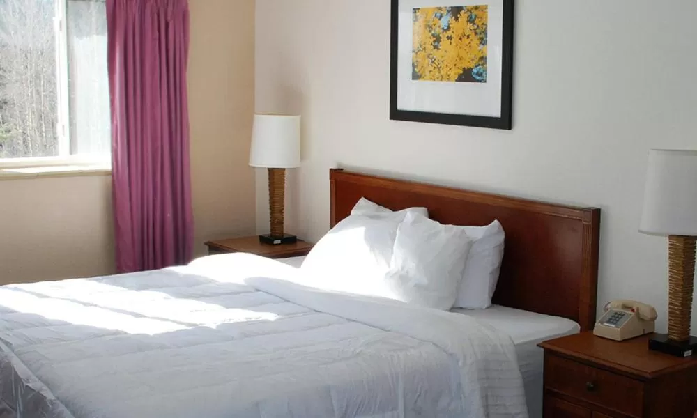Standard Double Room in Monarch Mountain Lodge