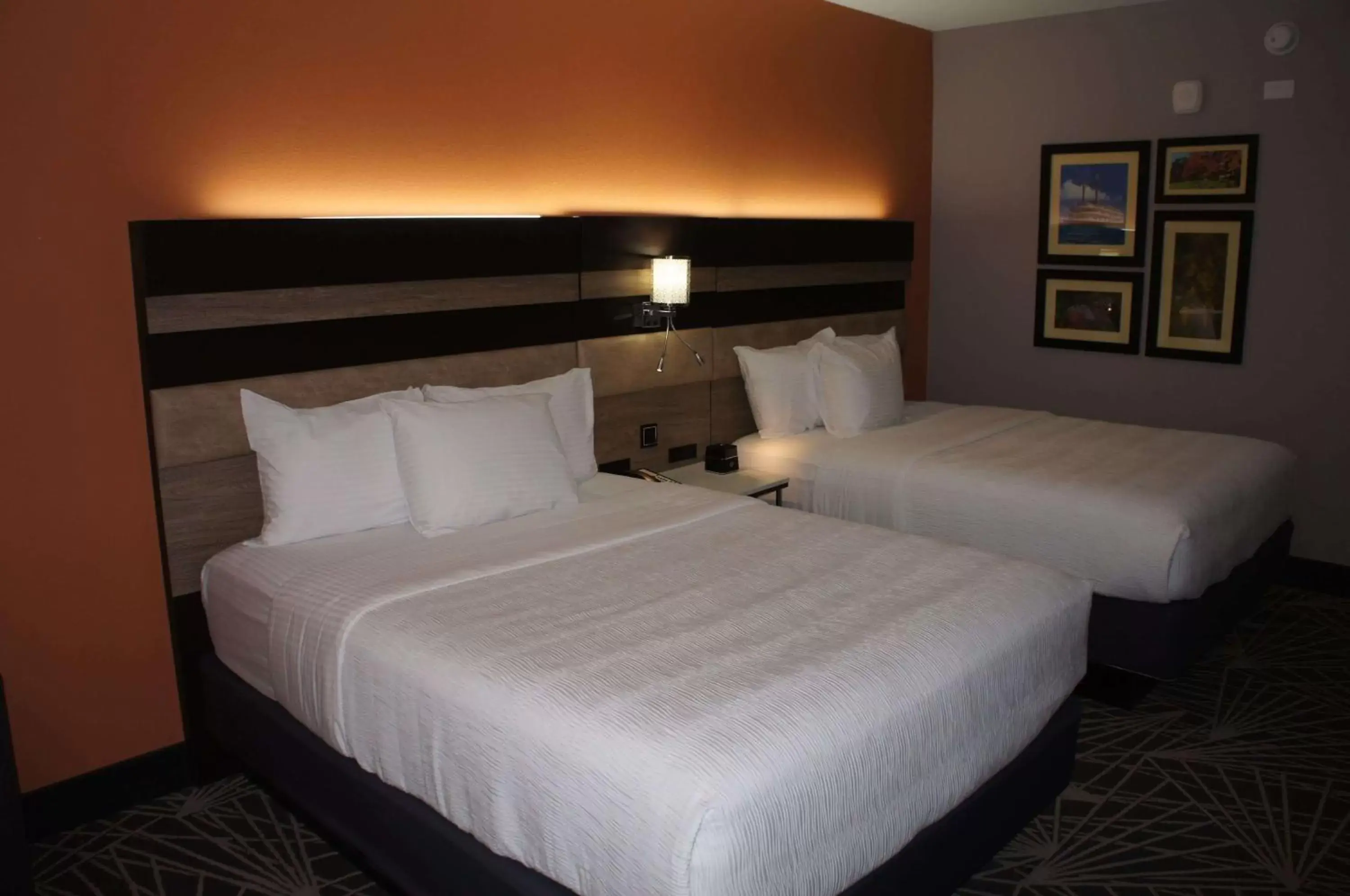 Photo of the whole room, Bed in La Quinta by Wyndham Branson