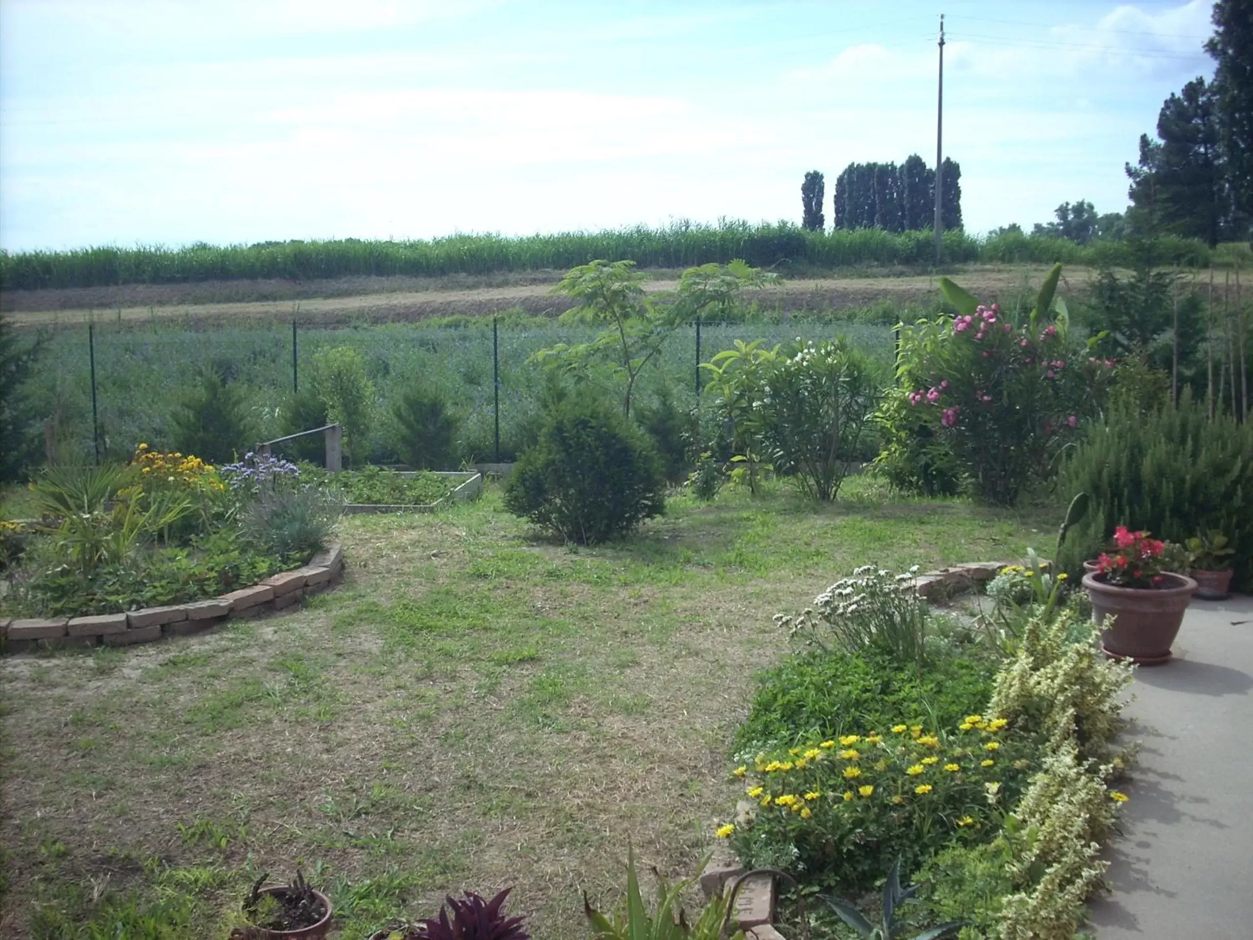 Garden in B&B Da Toni