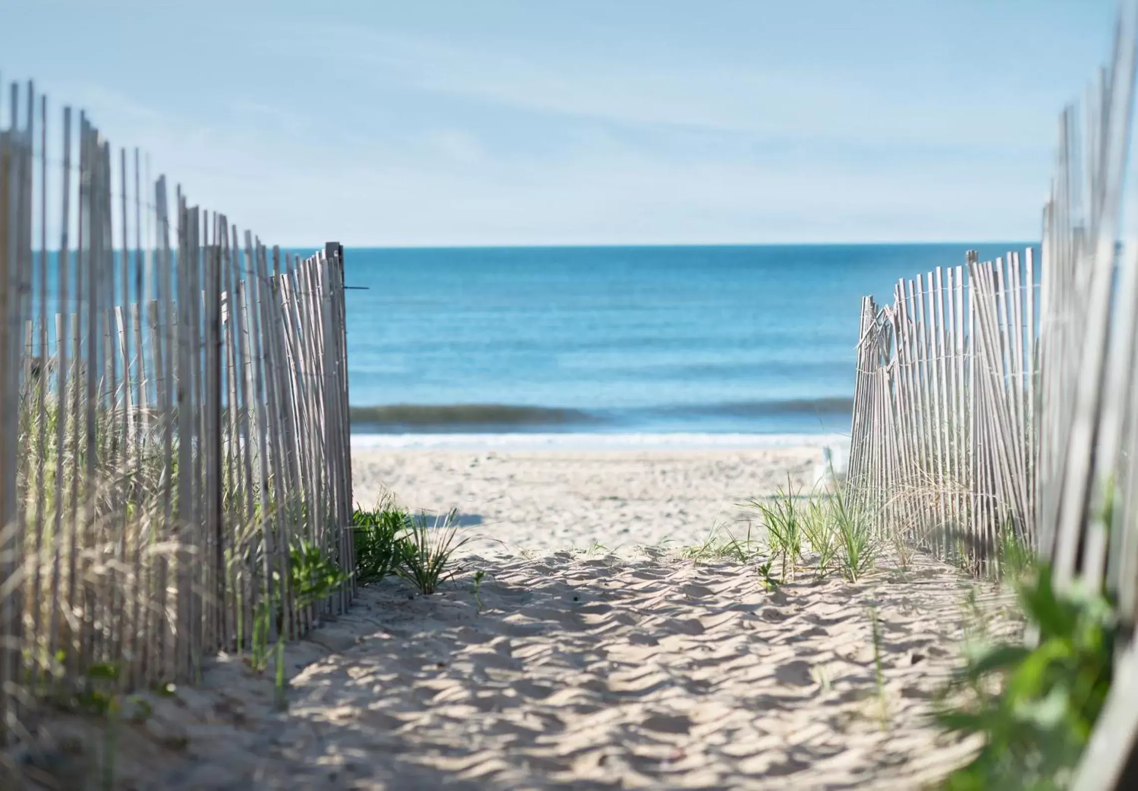 View (from property/room), Beach in Gurney's Montauk Resort & Seawater Spa