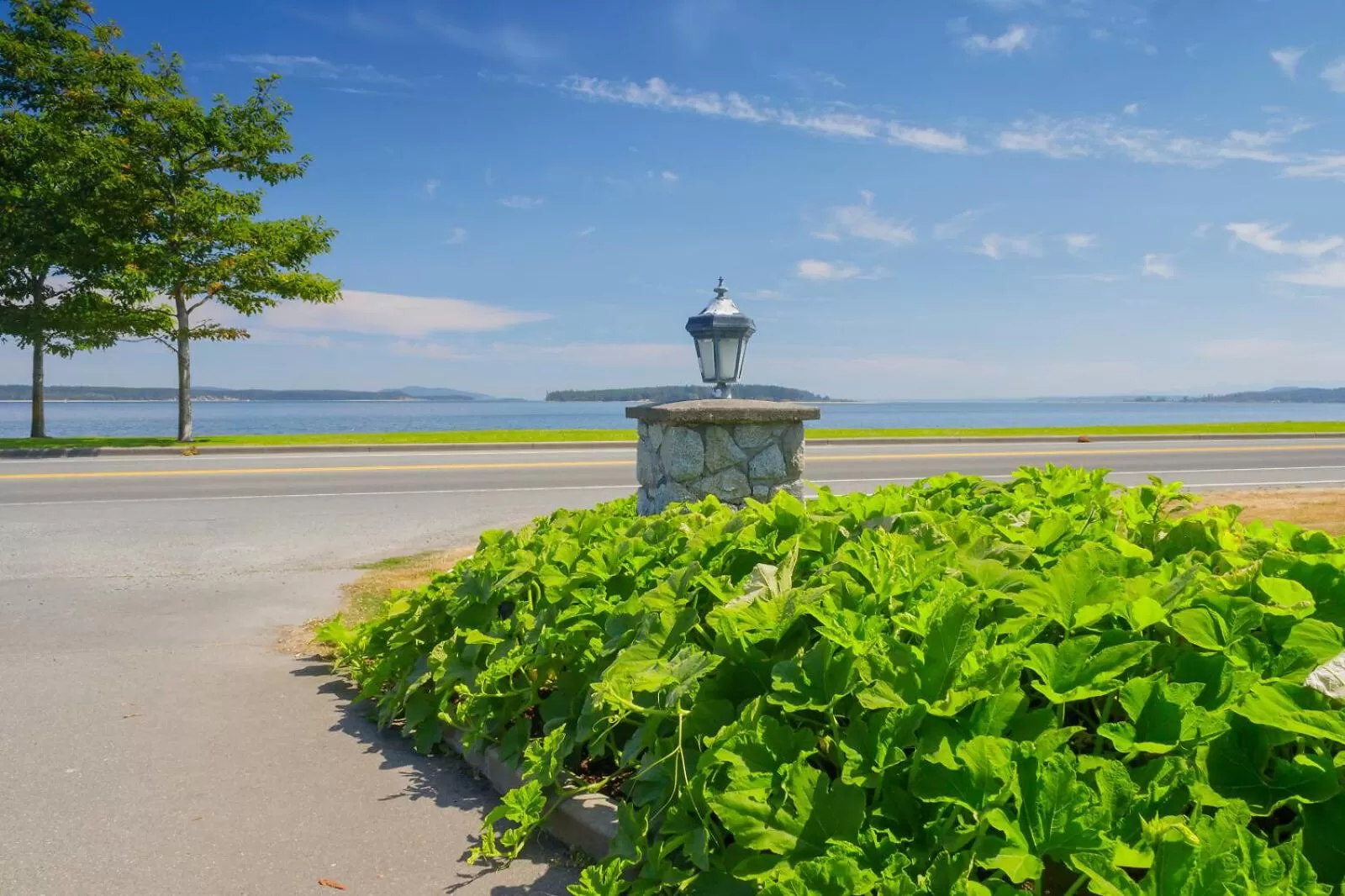 Garden in The Cedarwood Inn & Suites