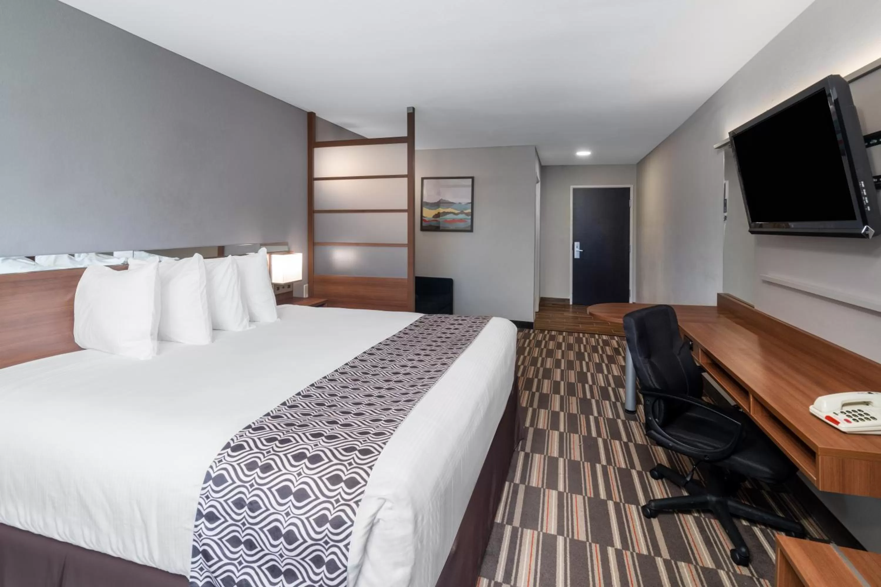 TV and multimedia, Bed in Microtel Inn & Suites by Wyndham Savannah/Pooler