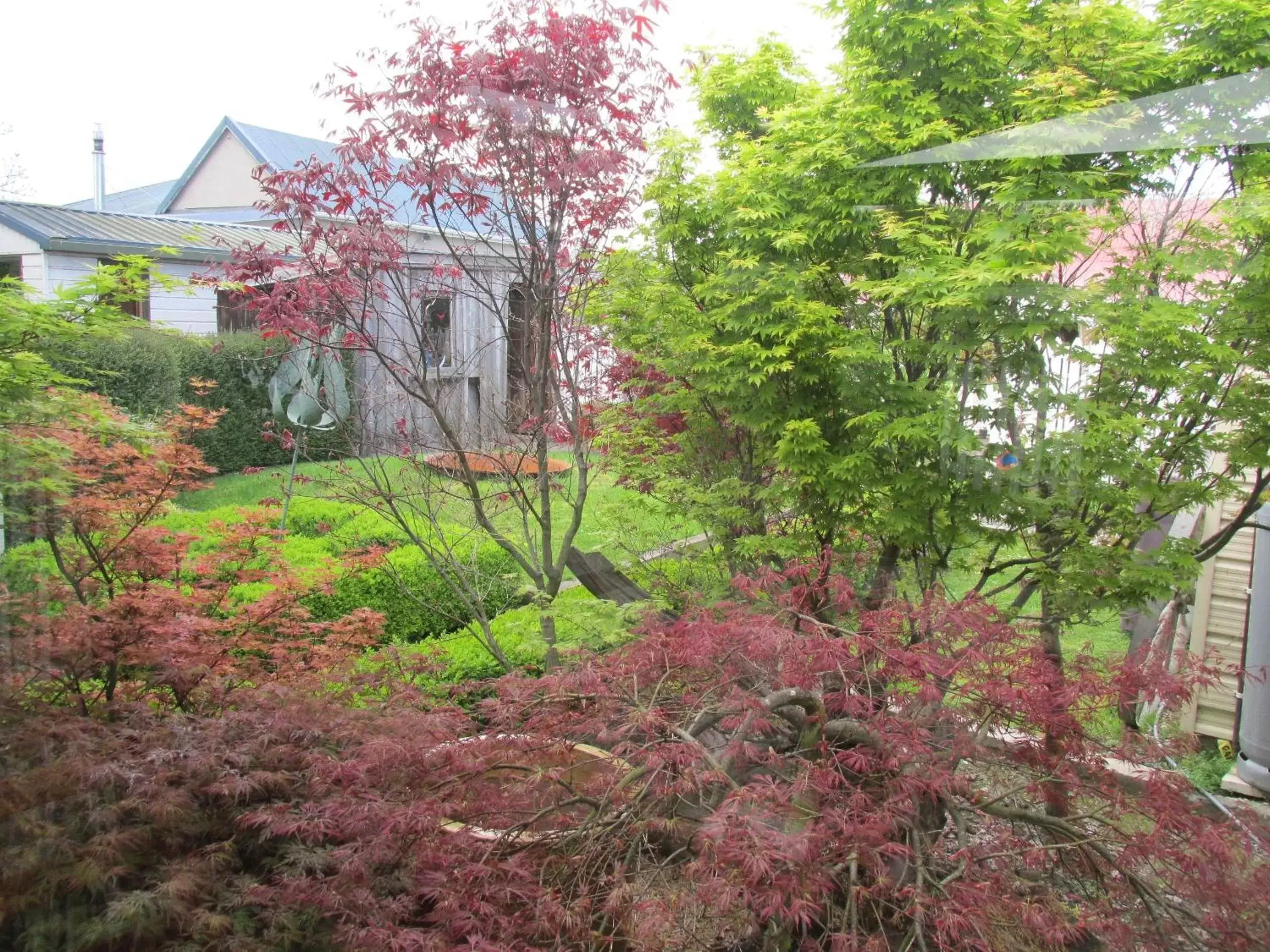 Garden in Designer Cottage