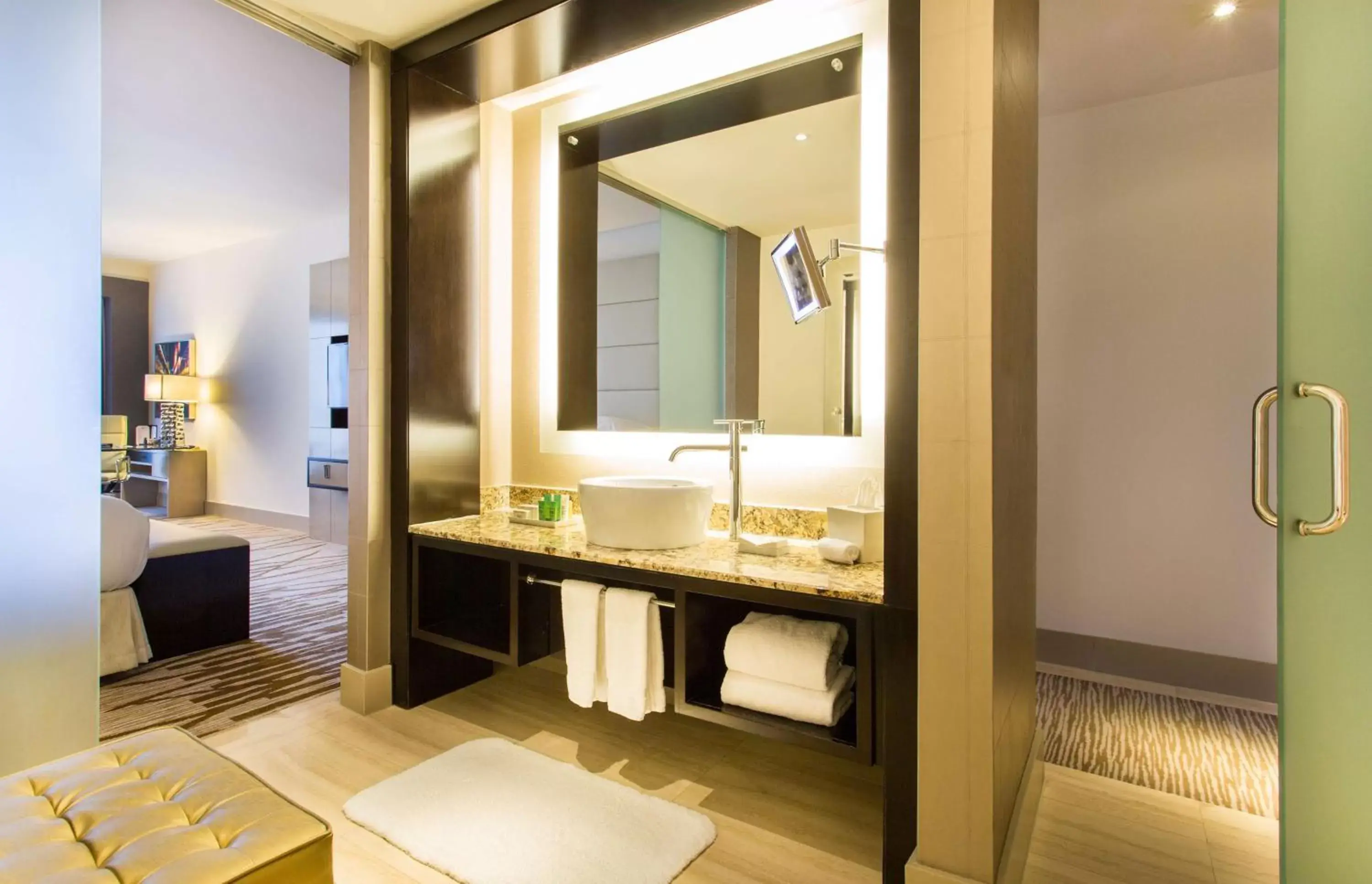 Bedroom, Bathroom in Hilton Panama