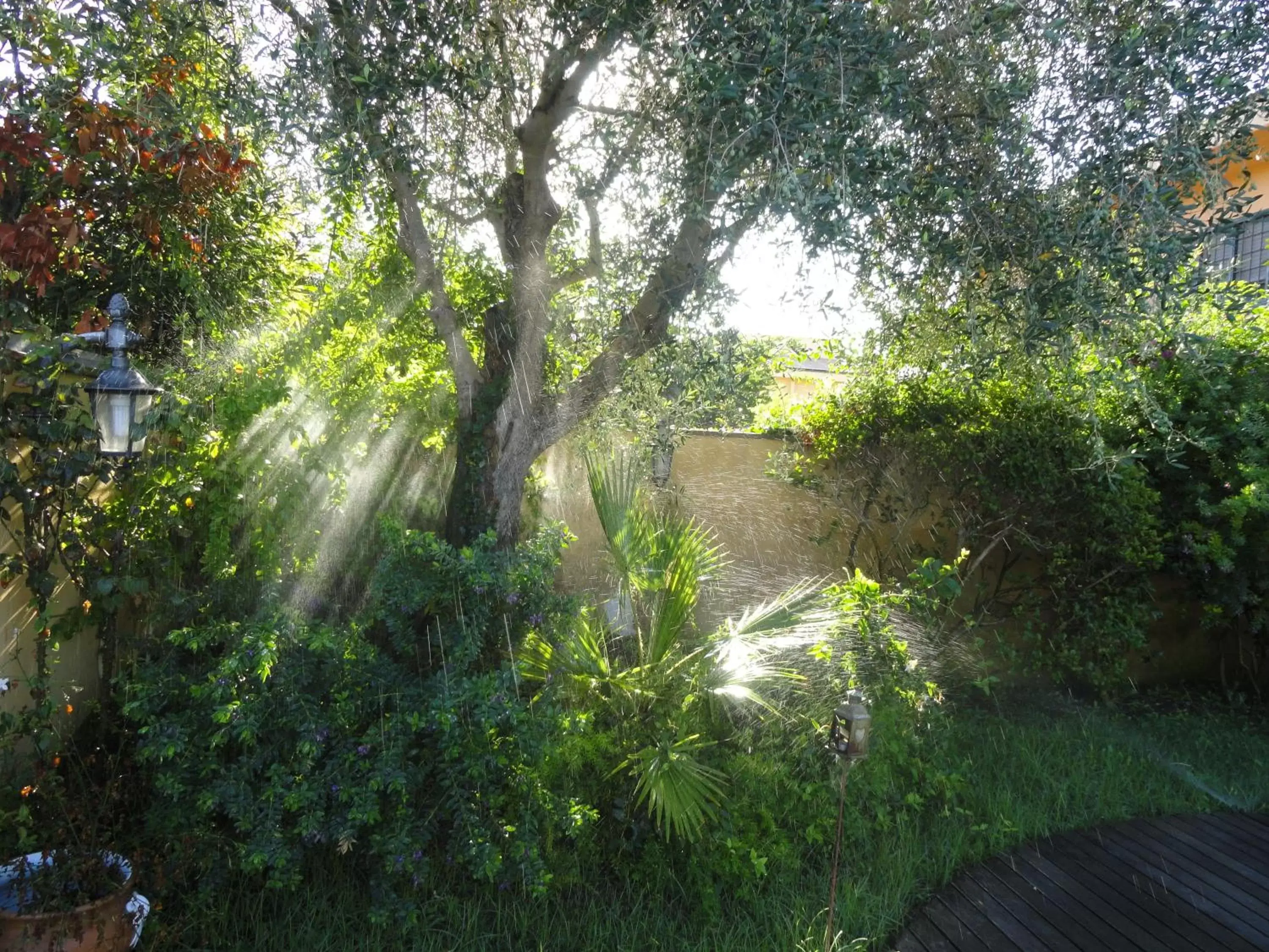 Garden view, Garden in B&B Le Lanterne