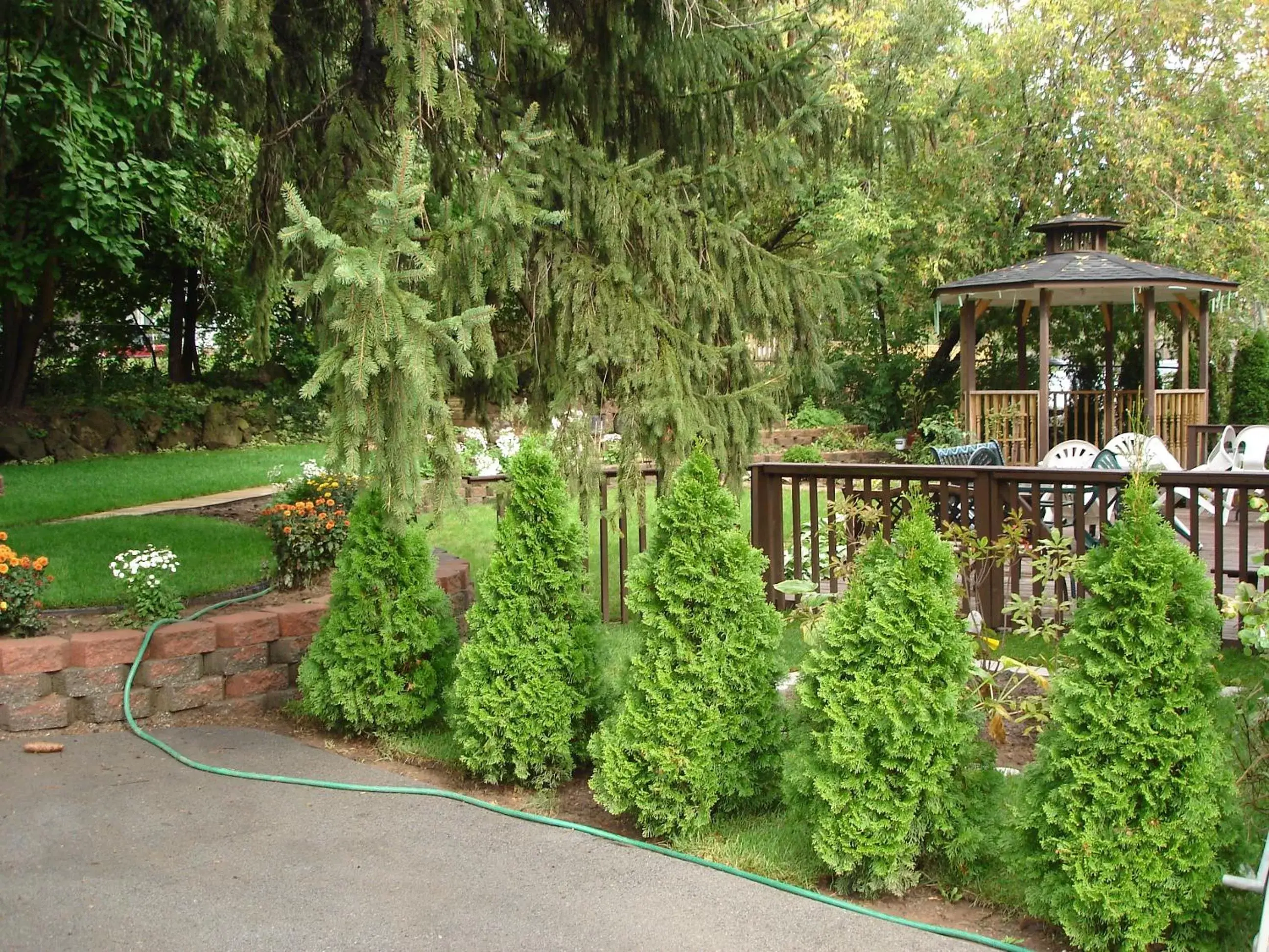 Patio in Susan's Villa