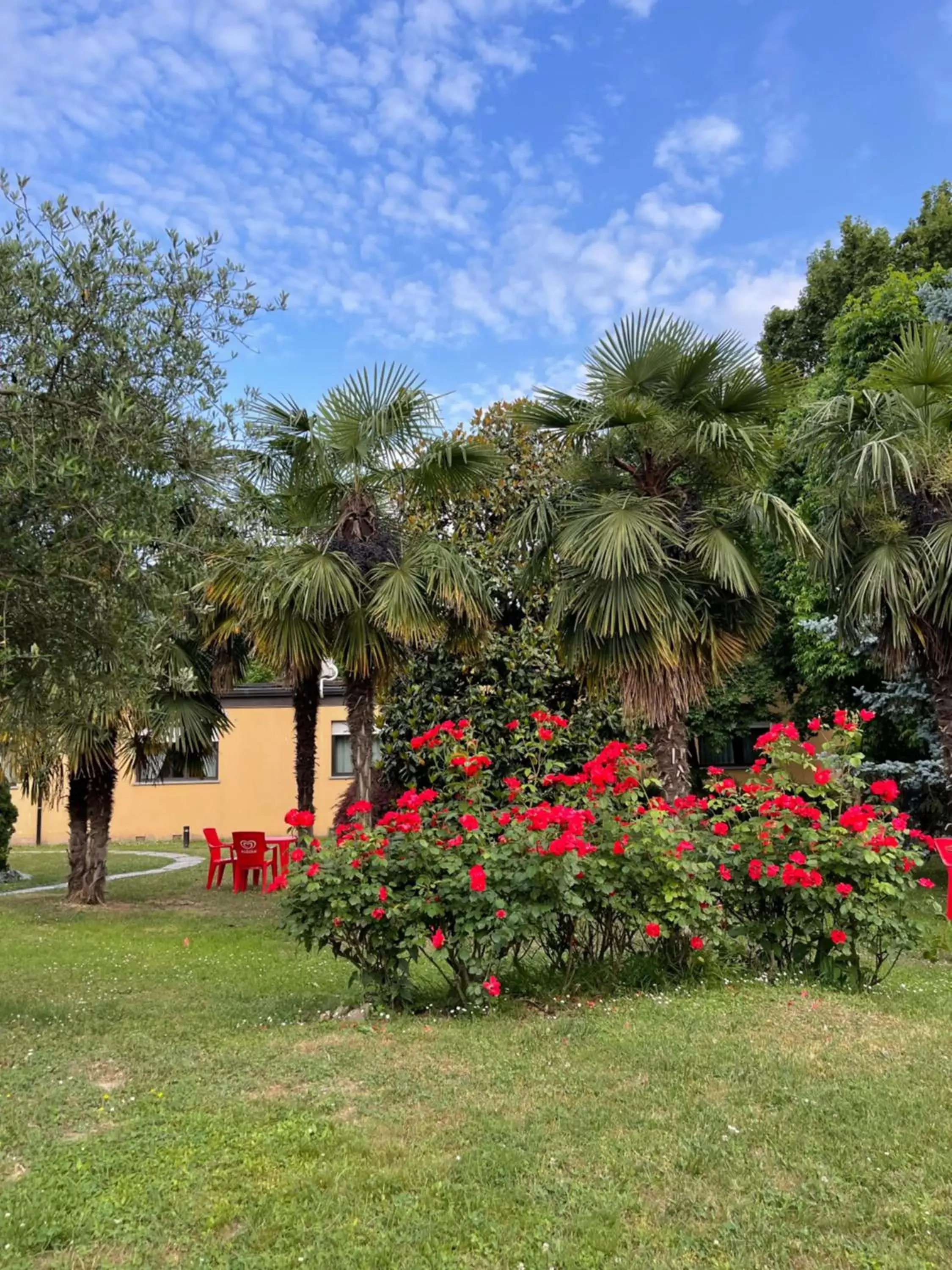 Garden in Parco Hotel Sassi