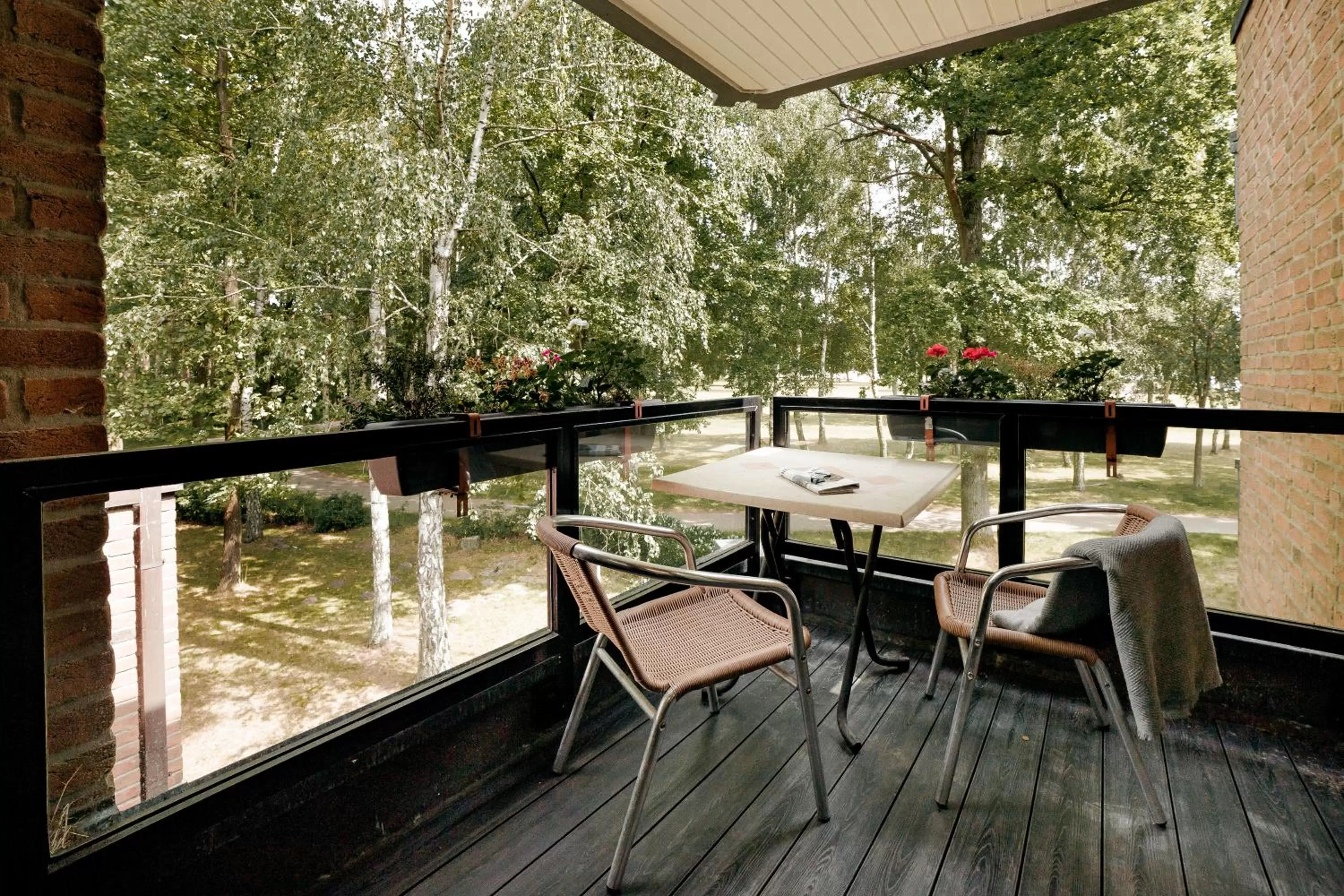 Balcony/Terrace in Seehotel am Tankumsee