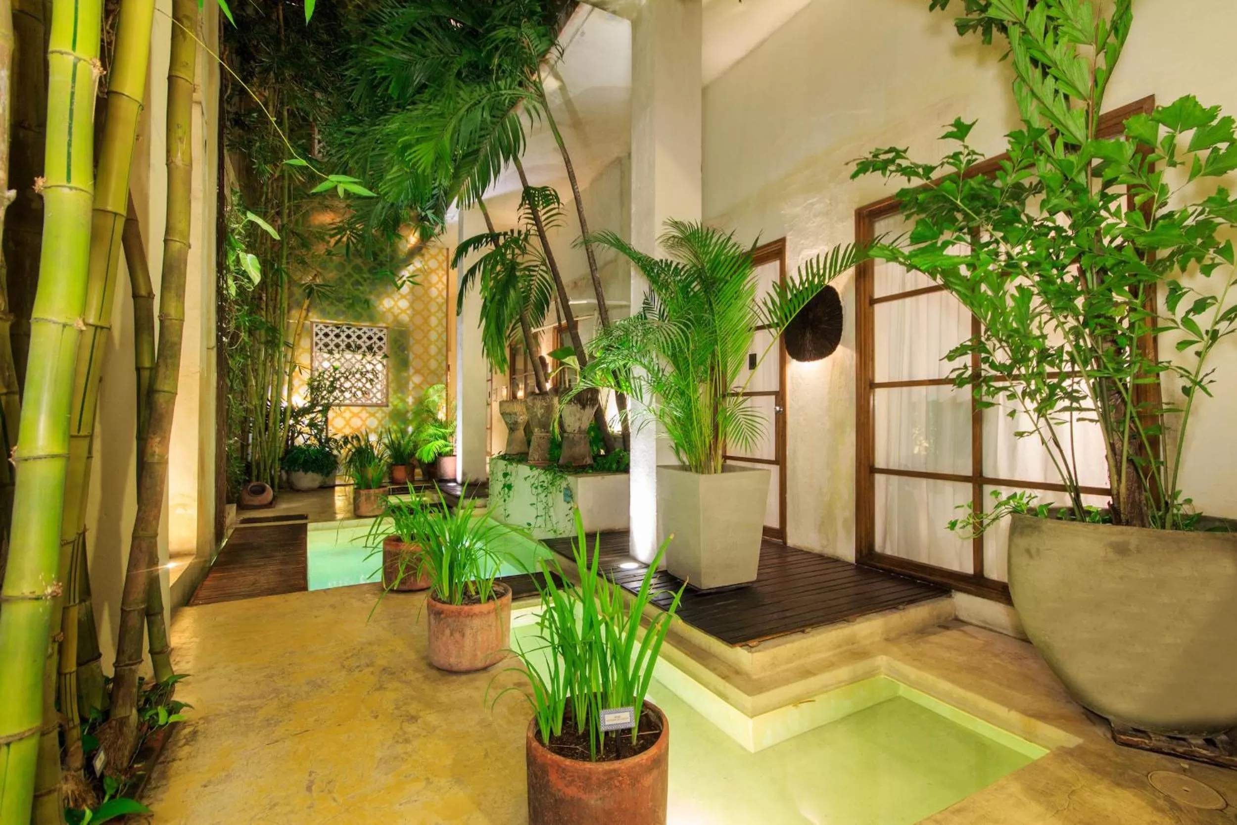 Patio in Hotel Casa Lola Deluxe Gallery