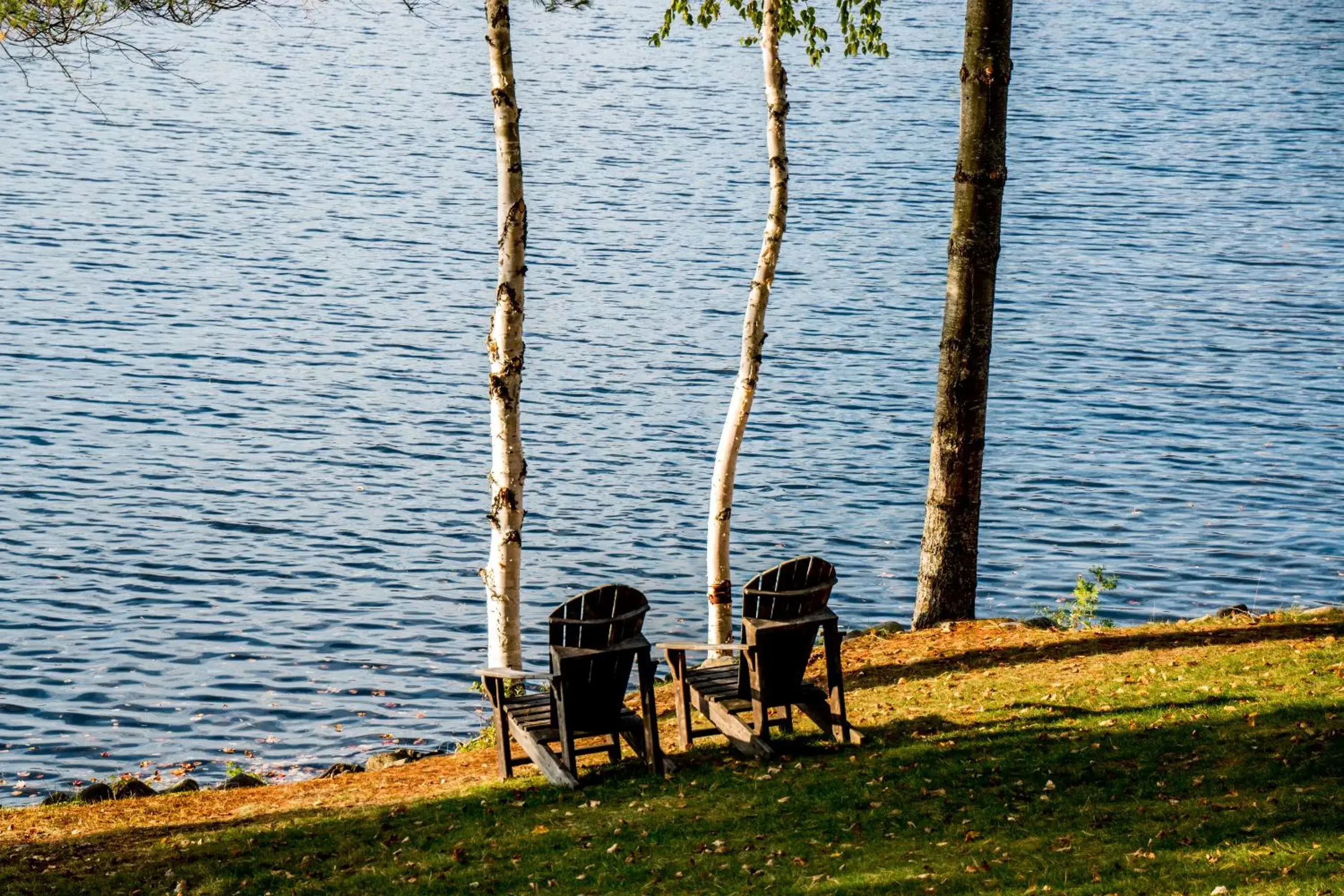 Beach in The Woods Inn