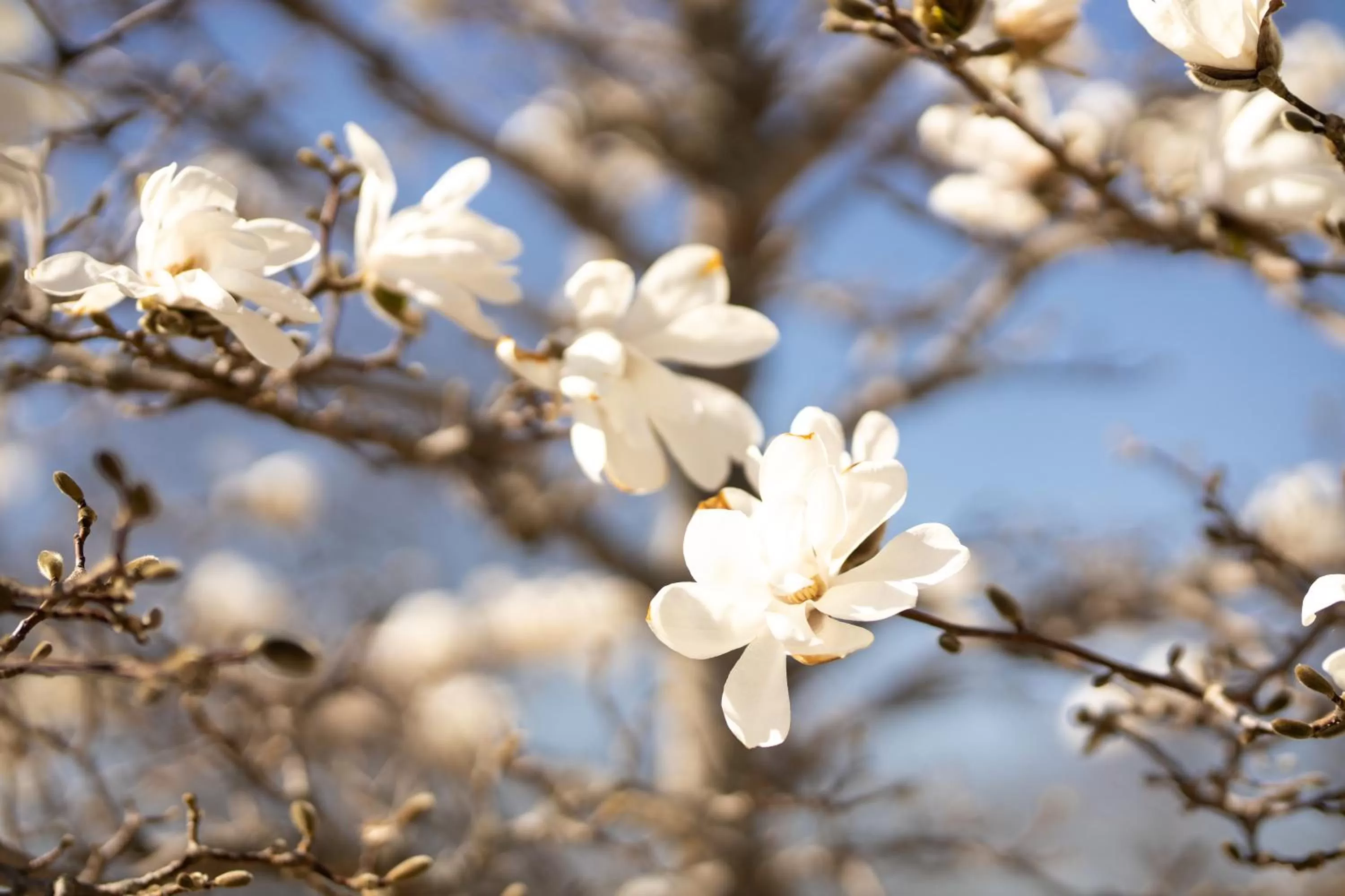 Natural landscape in Gränsö Slott Hotel & Spa