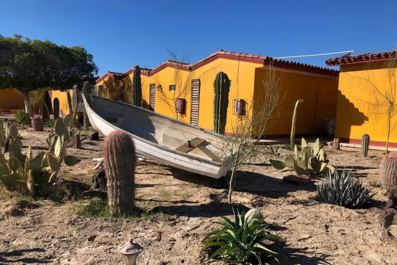 Garden, Property Building in Hotel Las Palmas