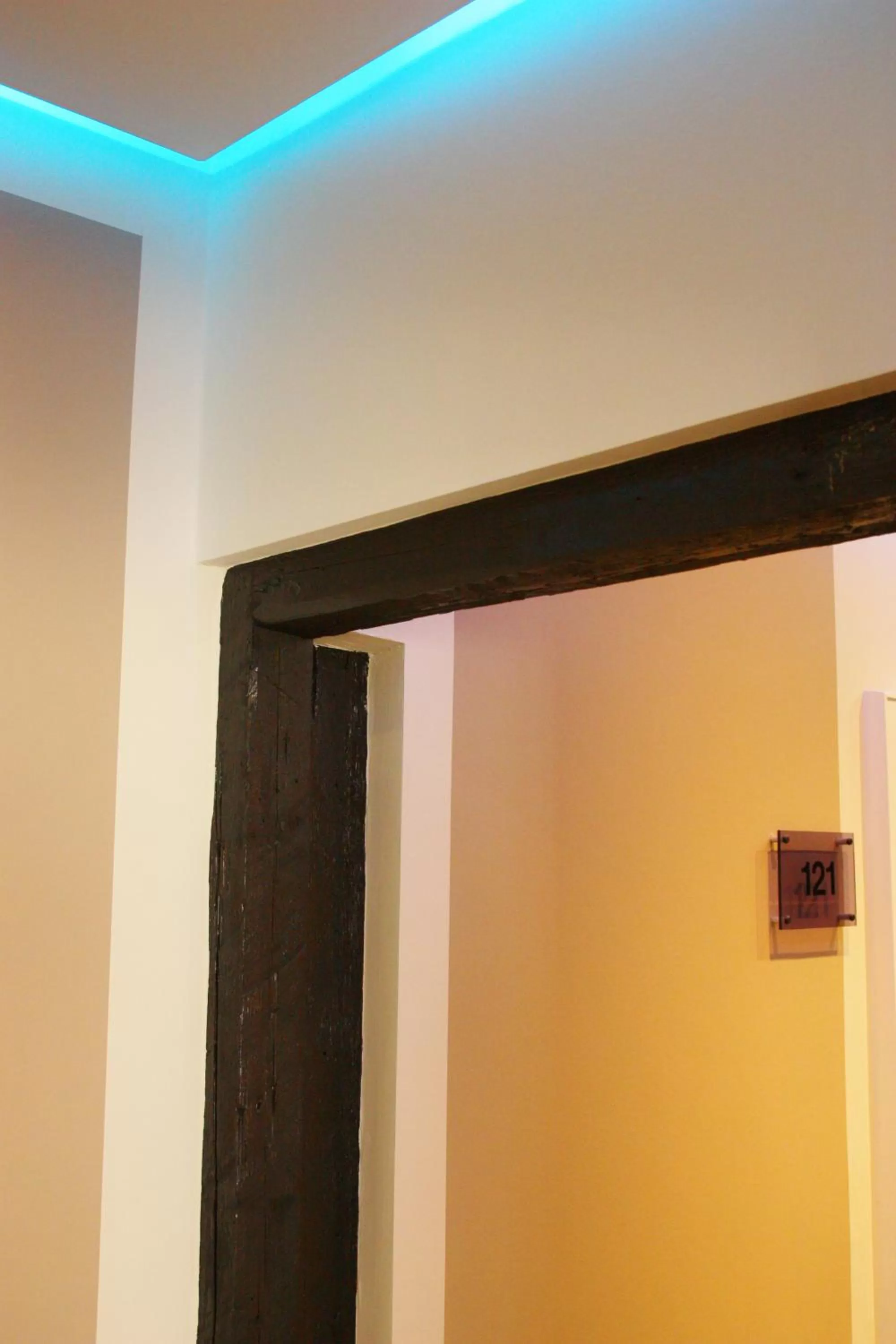 Area and facilities in Hotel am Schloss