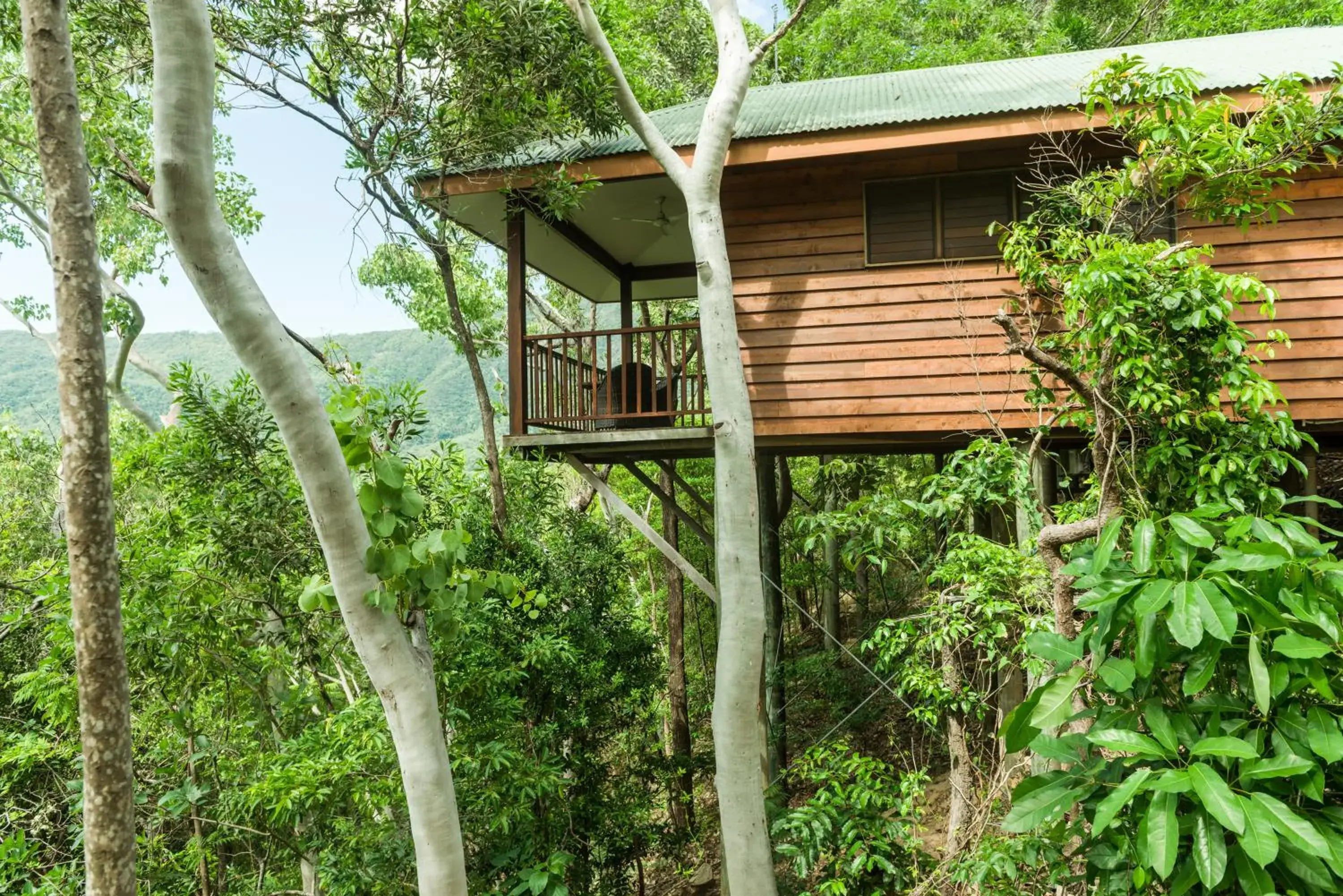 Property building in Thala Beach Nature Reserve