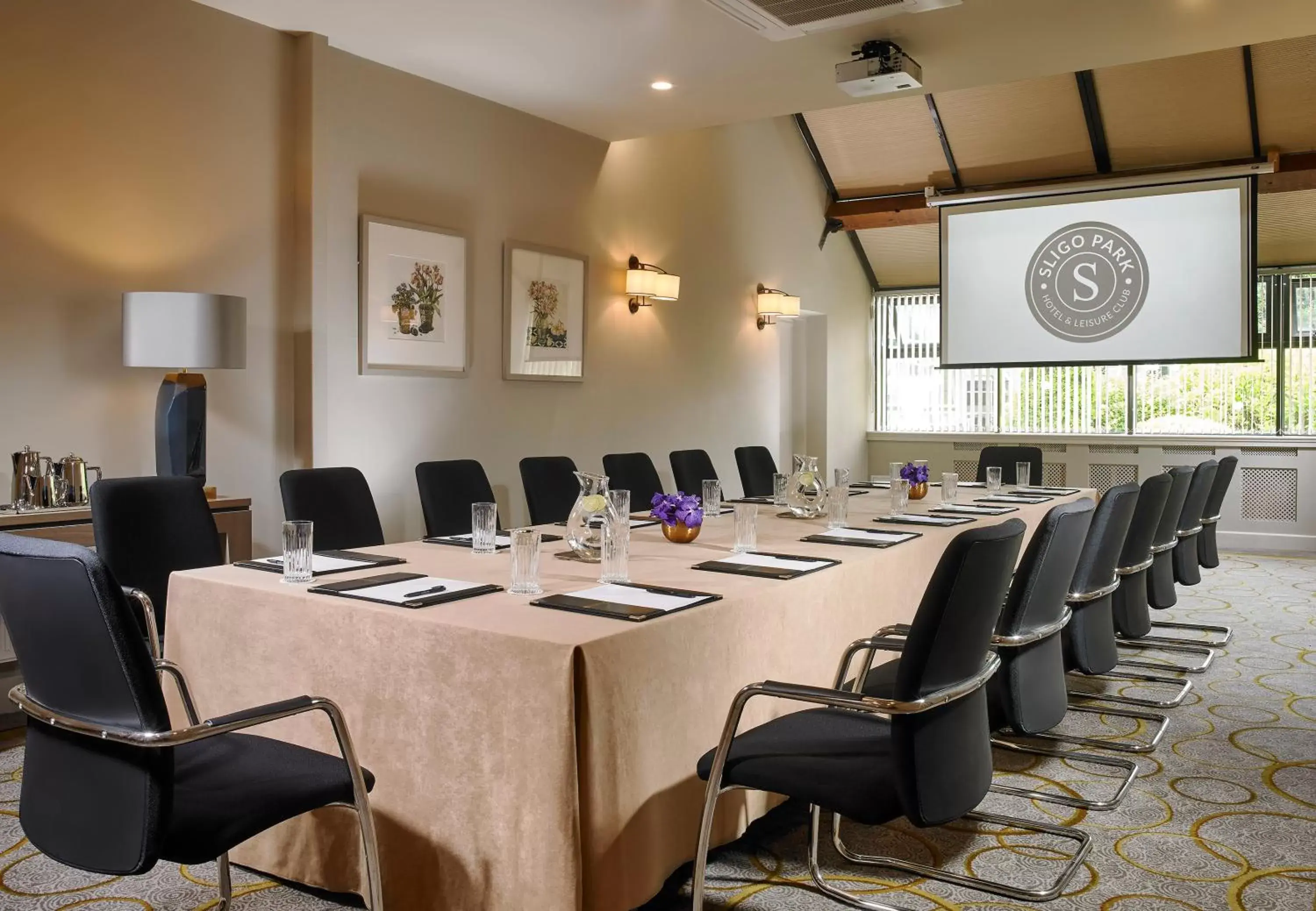 Business facilities in Sligo Park Hotel & Leisure Club