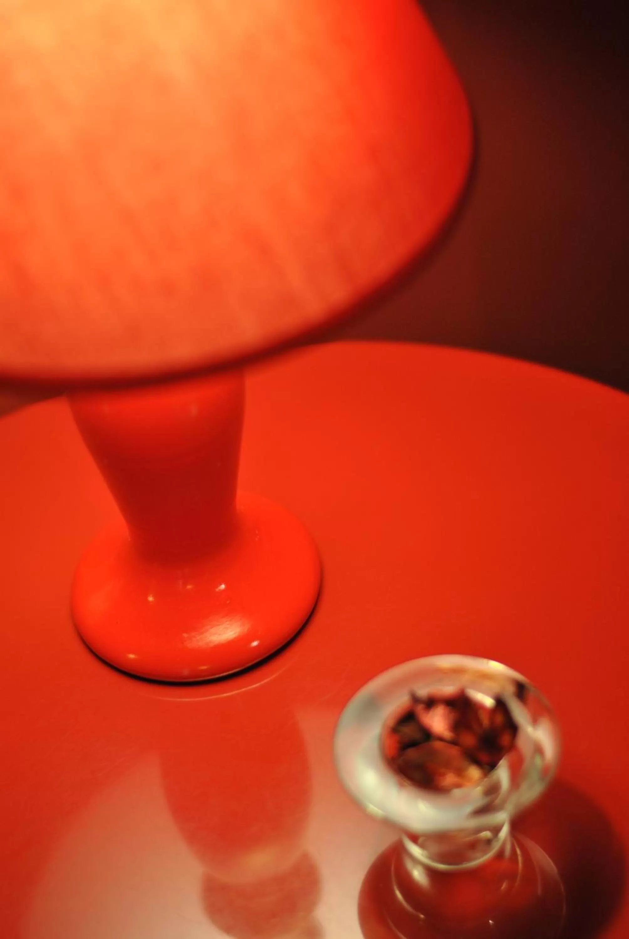 Pets in Affittacamere B&B Carella