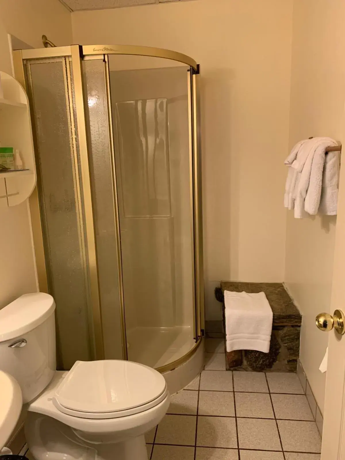 Shower, Bathroom in Algonquin Lakeside Inn