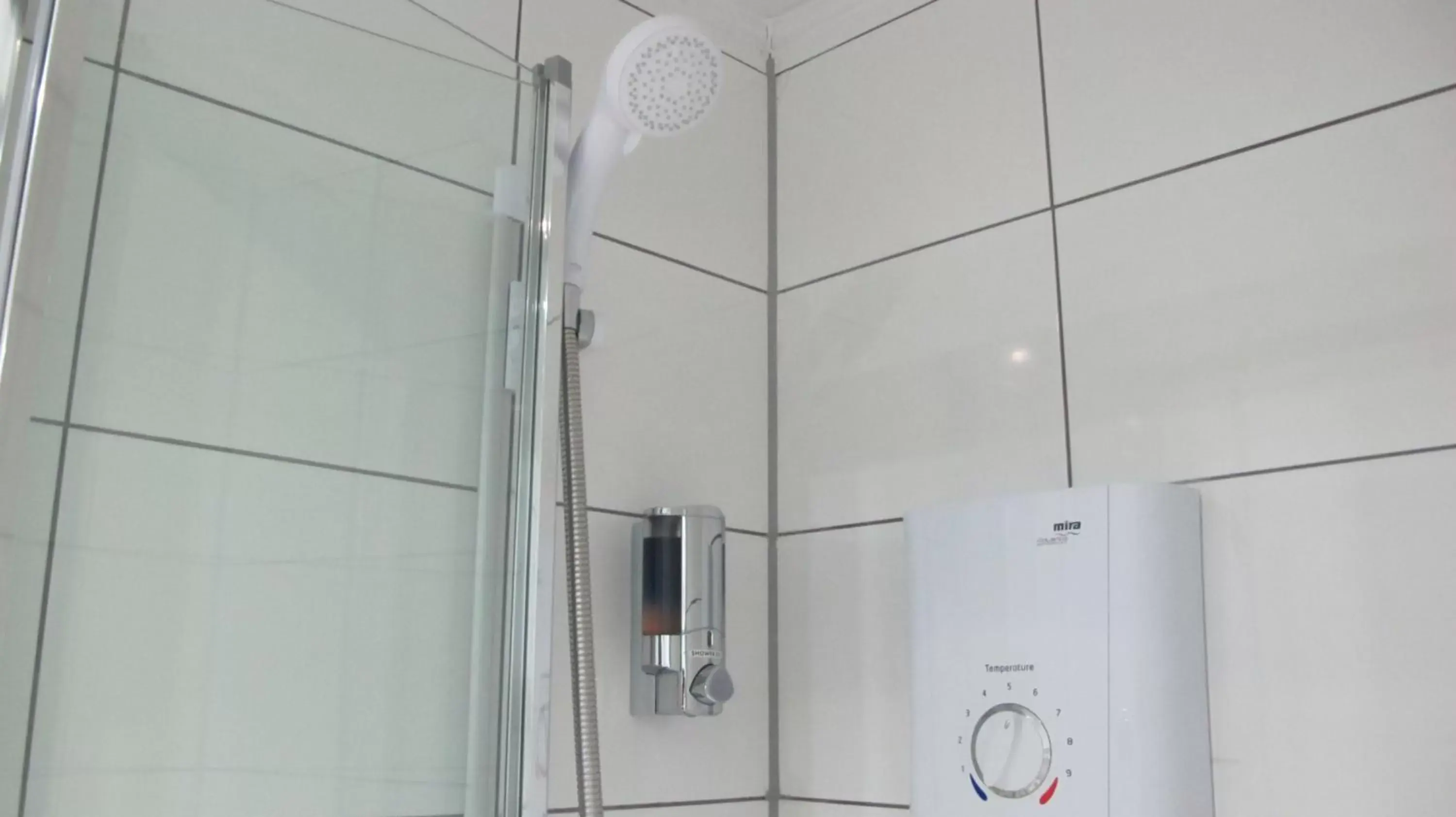Shower, Bathroom in Alhambra Hotel