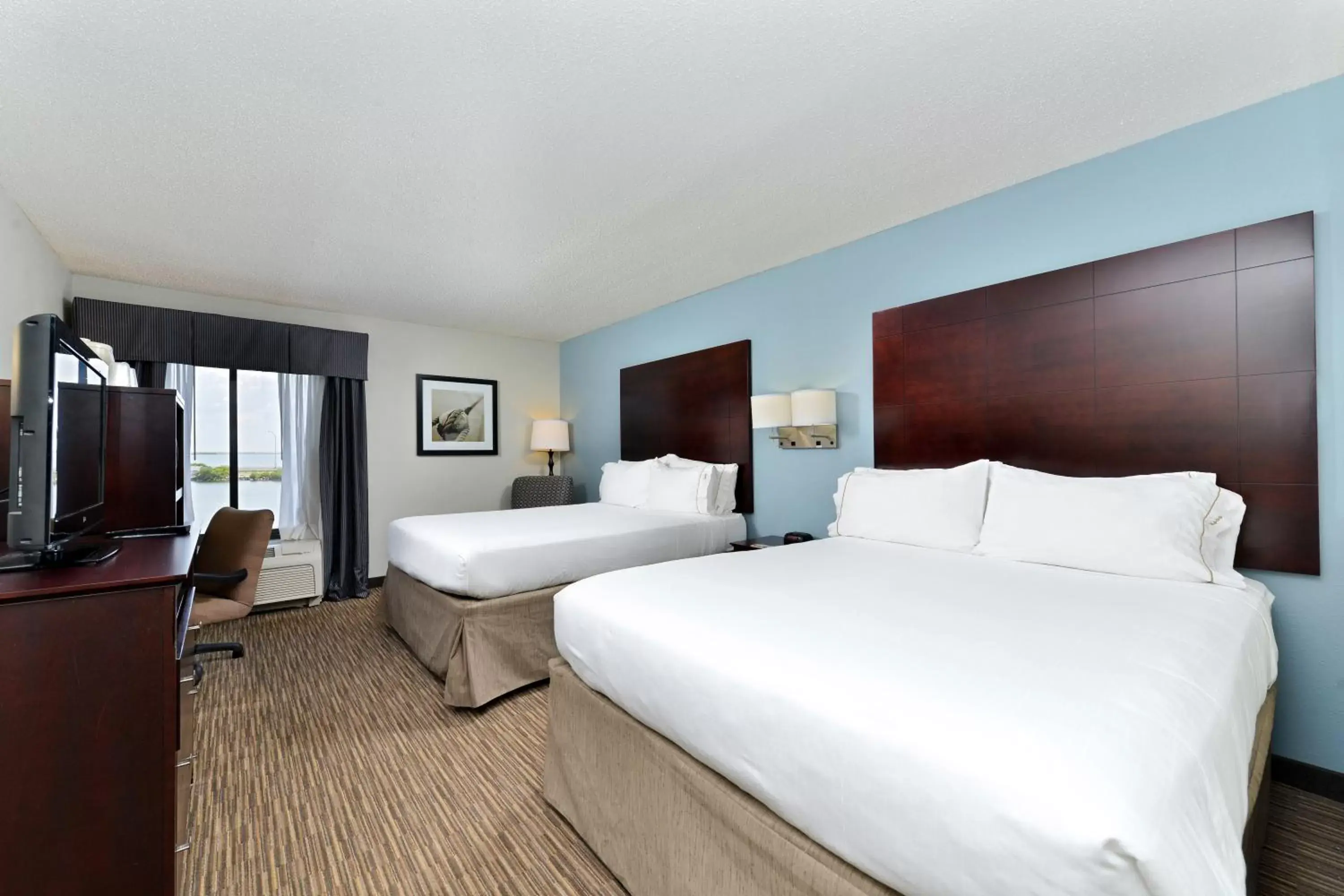 TV and multimedia in Holiday Inn Express Hotel & Suites Tampa-Rocky Point Island, an IHG Hotel