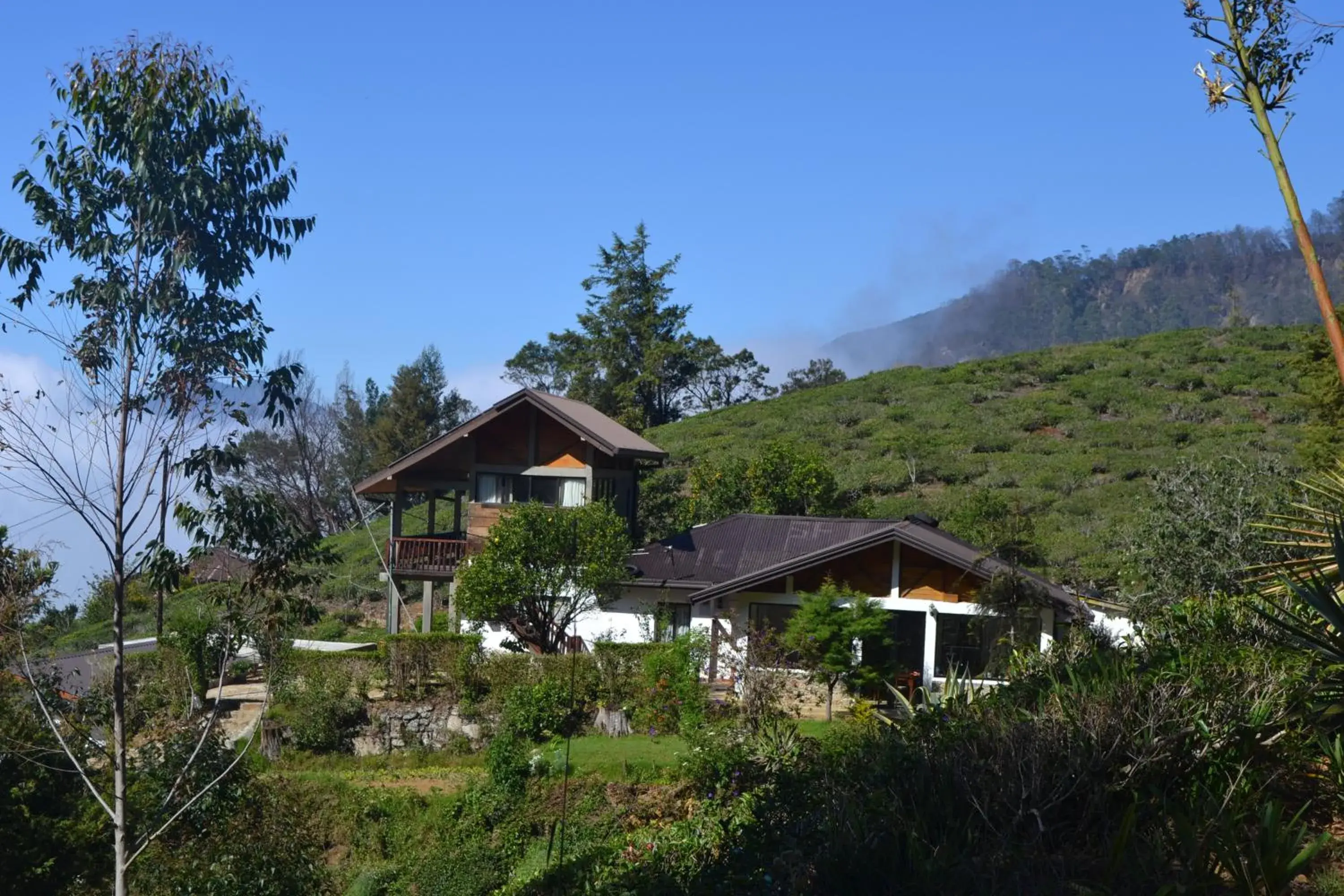 Bird's eye view, Property Building in Hill Safari Eco Lodge