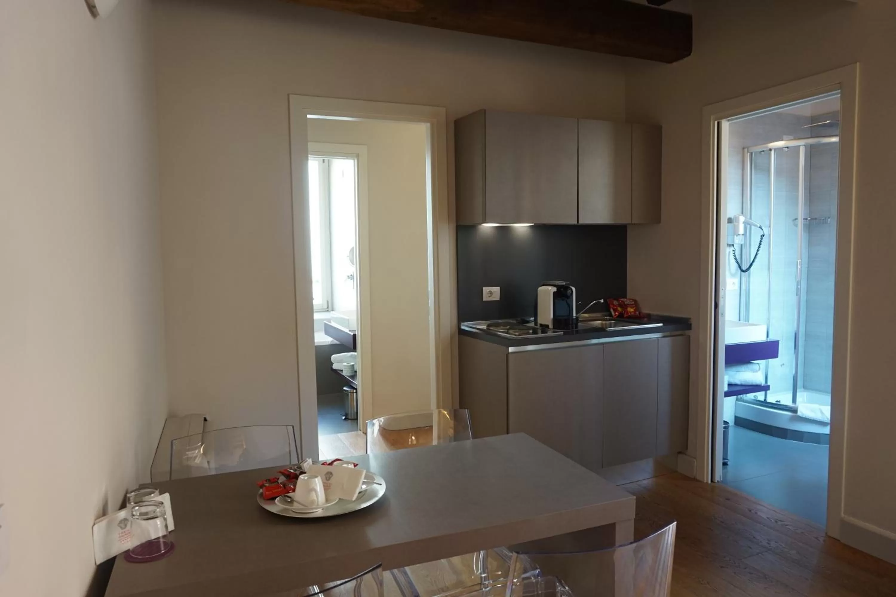 Kitchen or kitchenette in Trevi Palace Luxury Inn