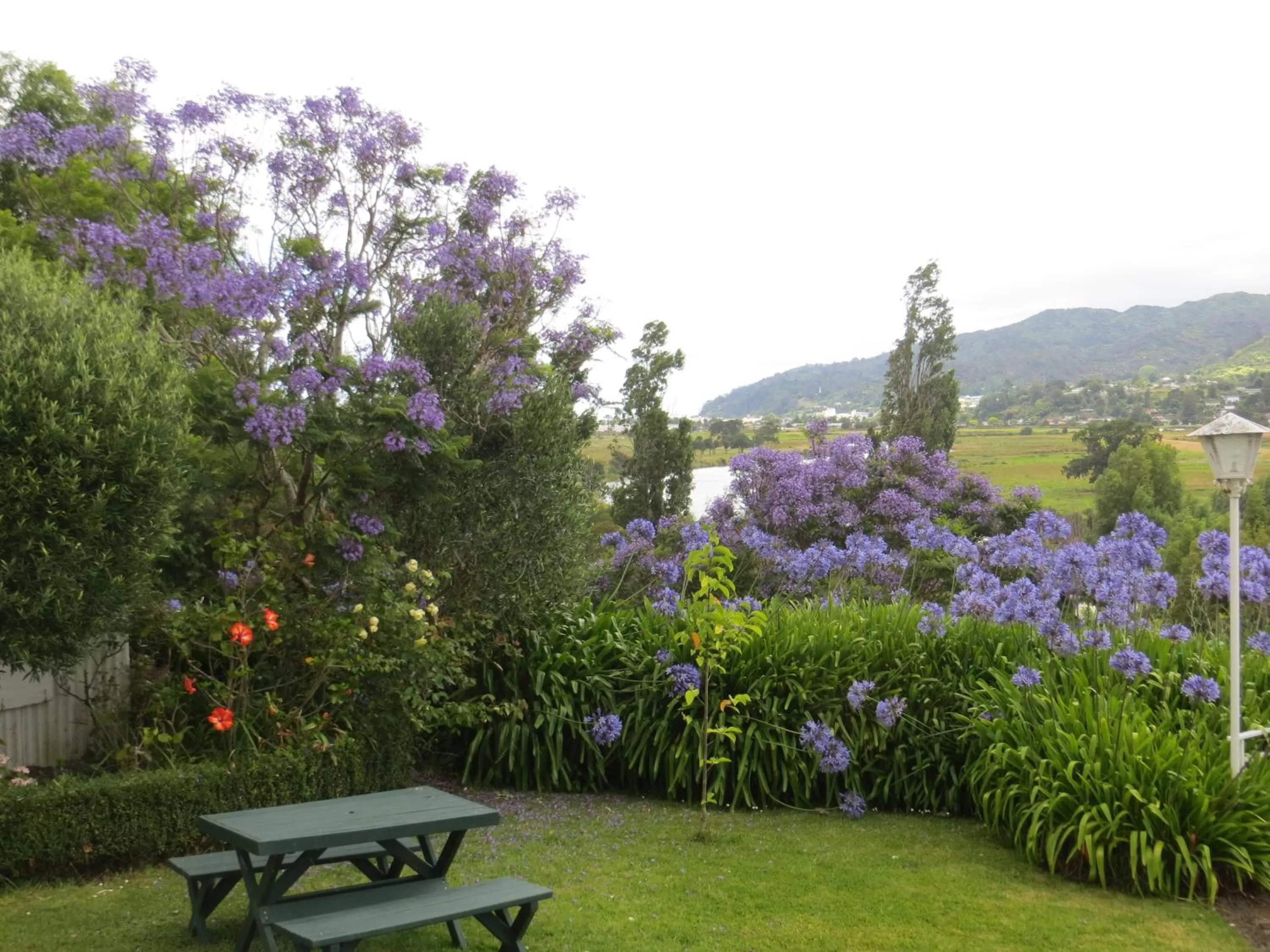 Garden view in Cotswold Cottage Bed and Breakfast