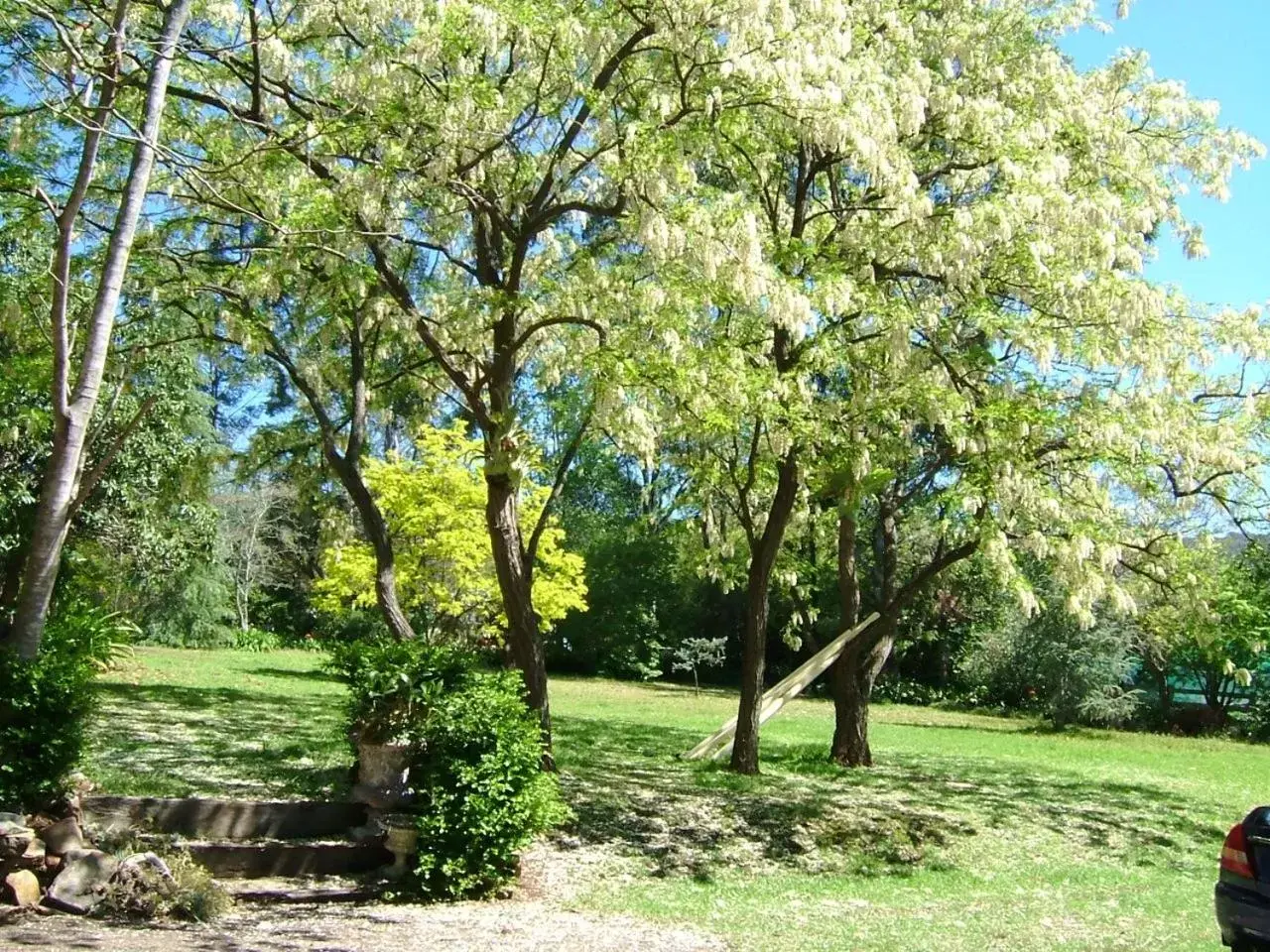 Garden in Hermitage Cottage