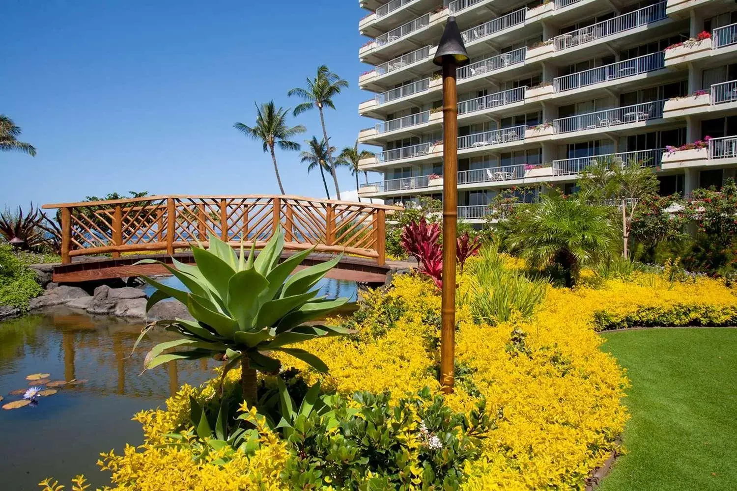 Garden, Property Building in Aston at The Whaler on Kaanapali Beach