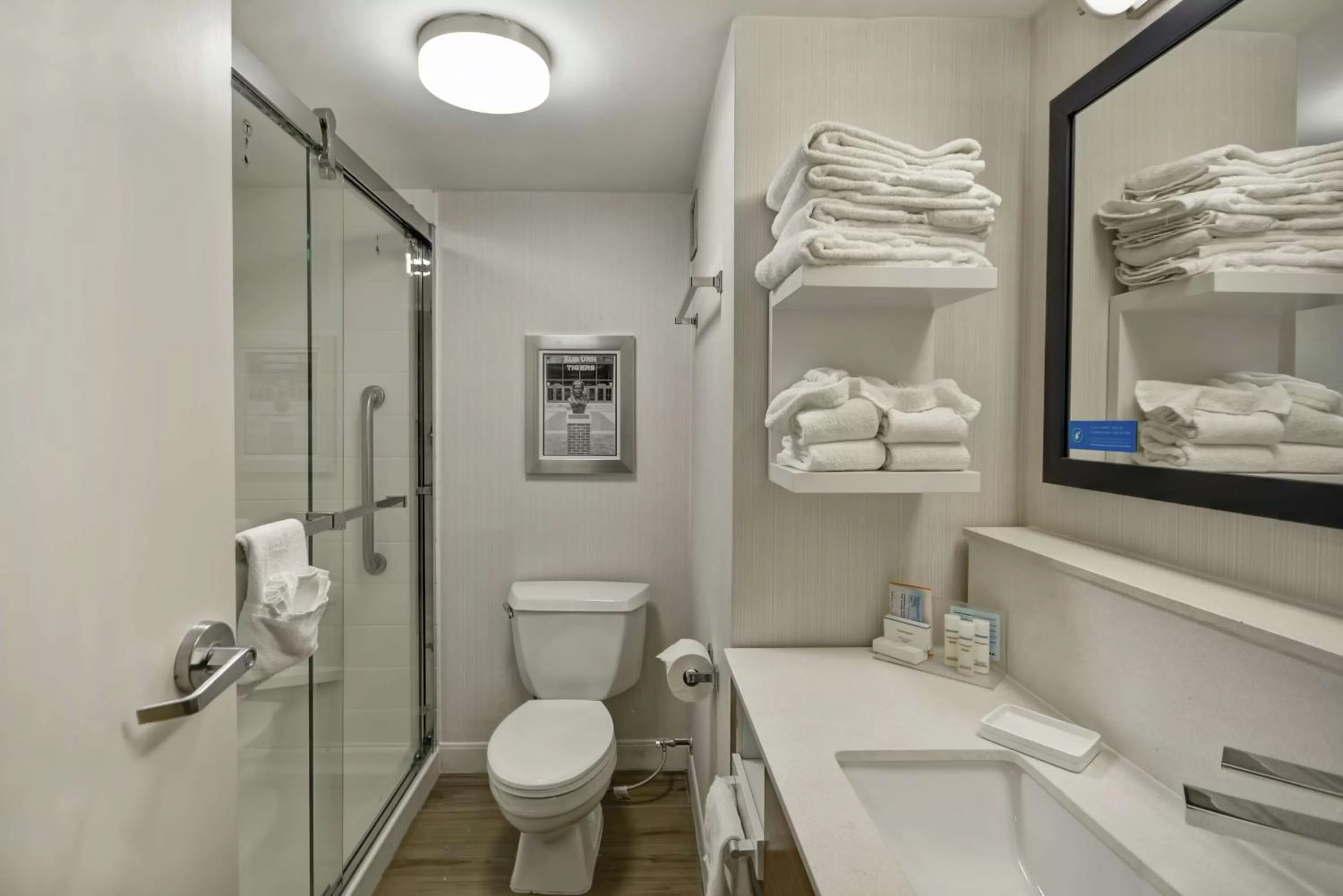 Bathroom in Hampton Inn Auburn