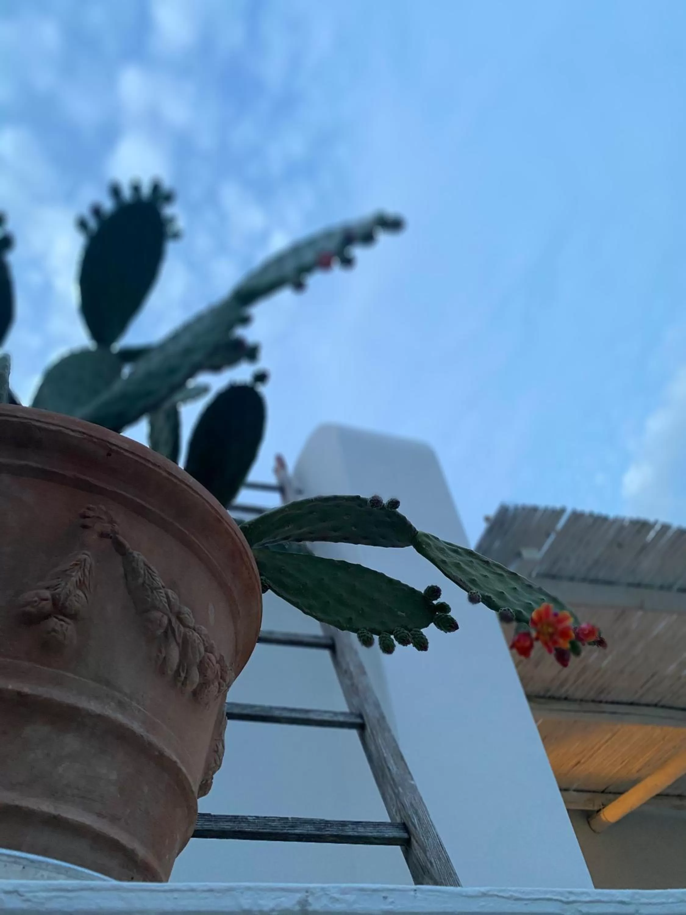 Suites Edivino Design Capri