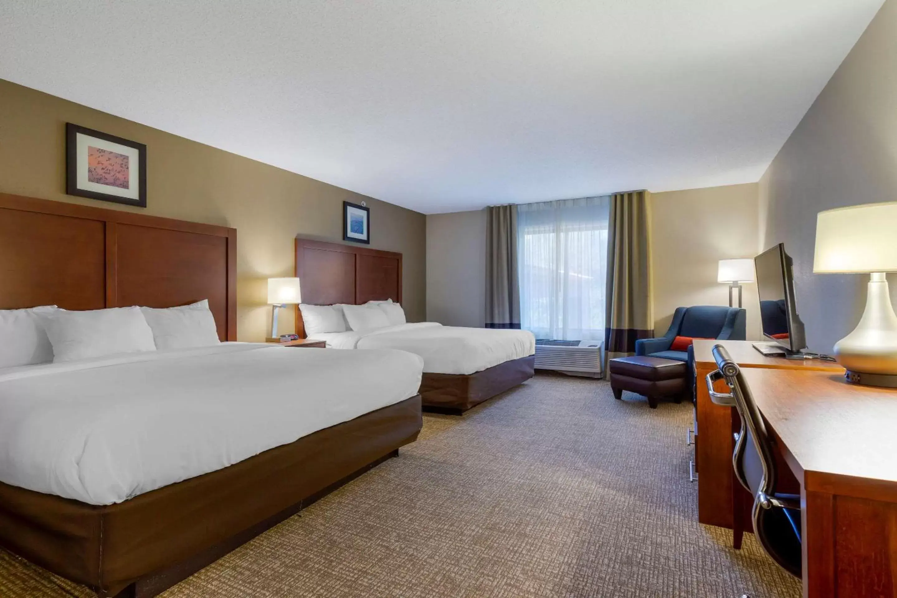Photo of the whole room in Comfort Inn & Suites Cambridge