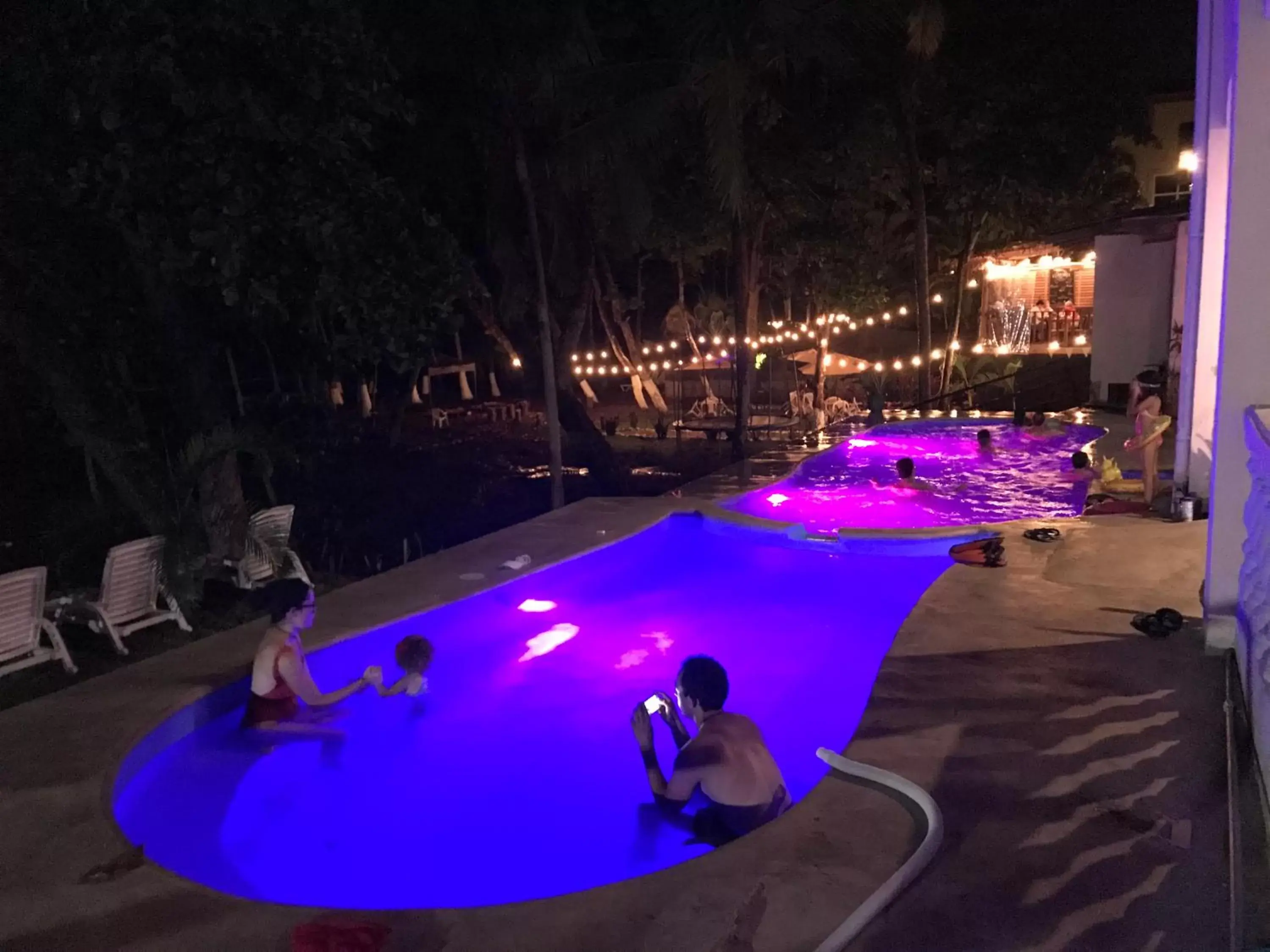 Pool view, Other Animals in Hotel Beachfront Vista Hermosa