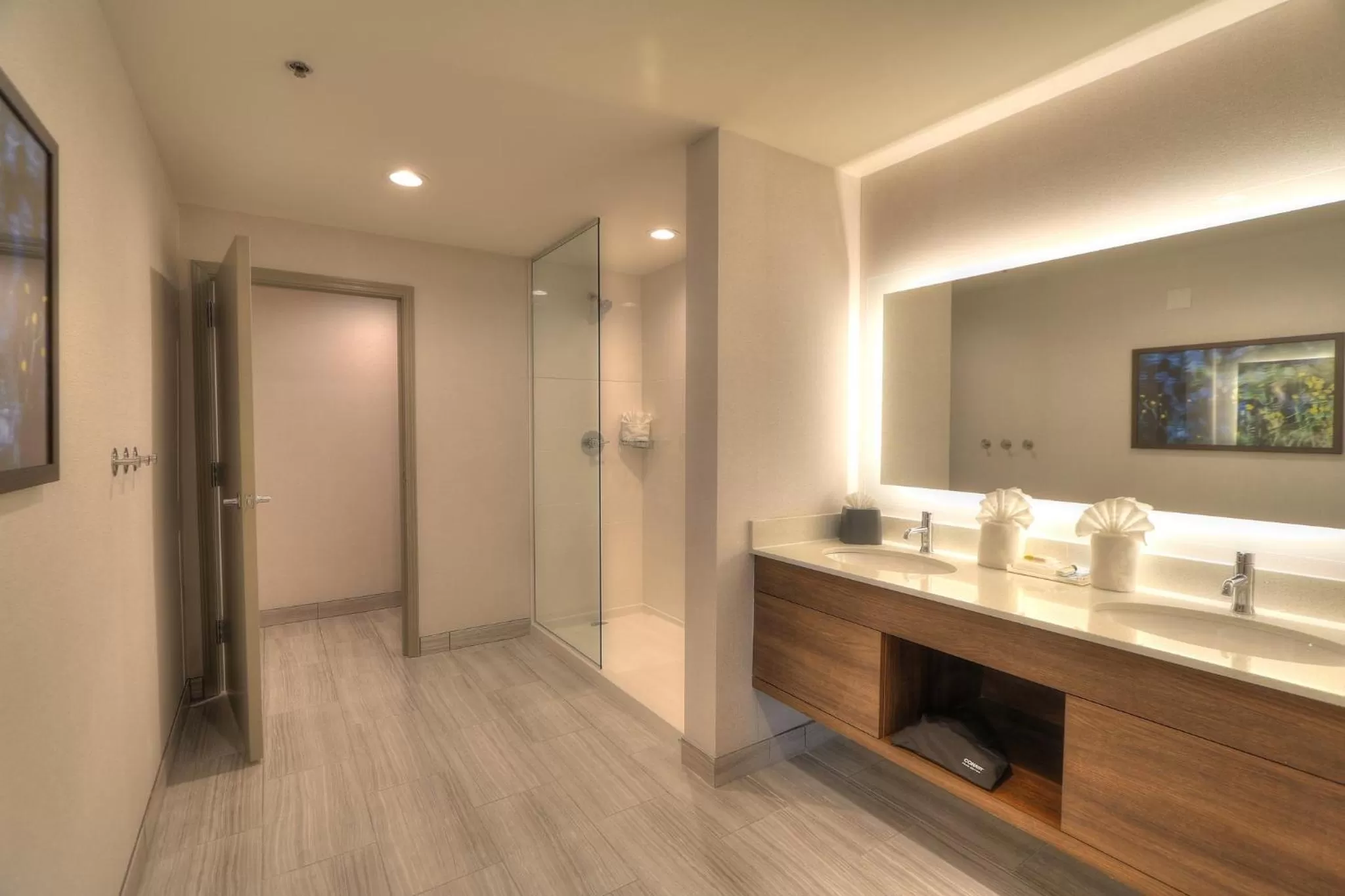 Bathroom in Holiday Inn & Suites Pigeon Forge Convention Center by IHG